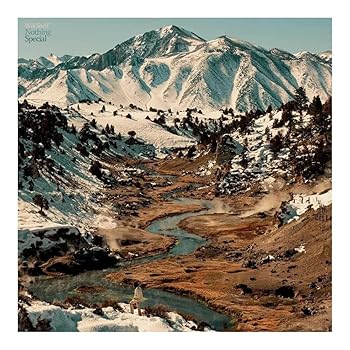 Vinyl Nothing Specia LP Book