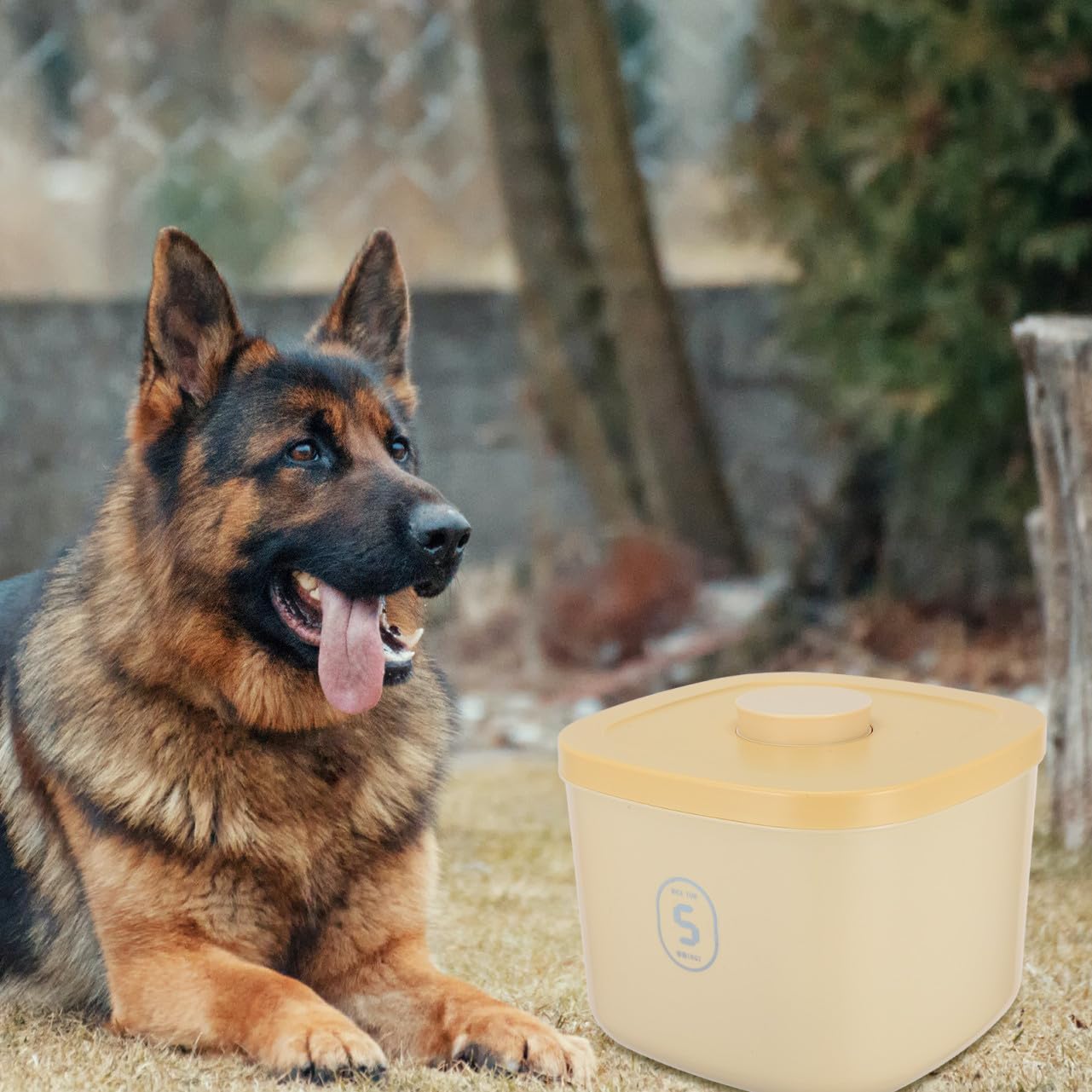 Small Yellow Airtight Pet Food Storage Bin Container for Cat and Dog Food, Vacuum Sealed Moisture-proof Plastic Holder Suitable for Dry Kibble and Treats
