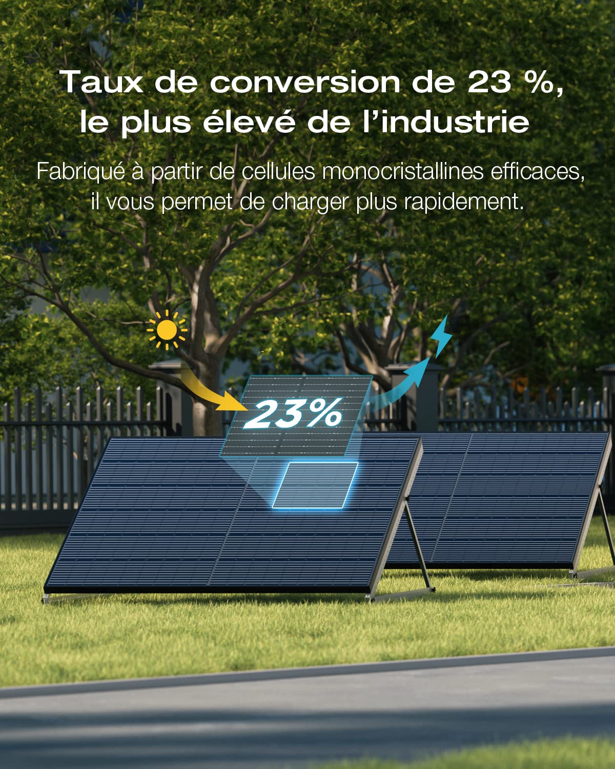 EcoFLow Micro-onduleur(800W) avec Panneau Solaire monocristallins 400W*2, câble de connecté de Delta Pro et Delta Pro Station électrique