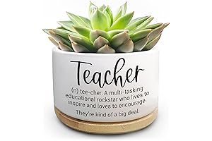Teacher Appreciation Gifts from Student, Succulent Plant Pots for Teacher