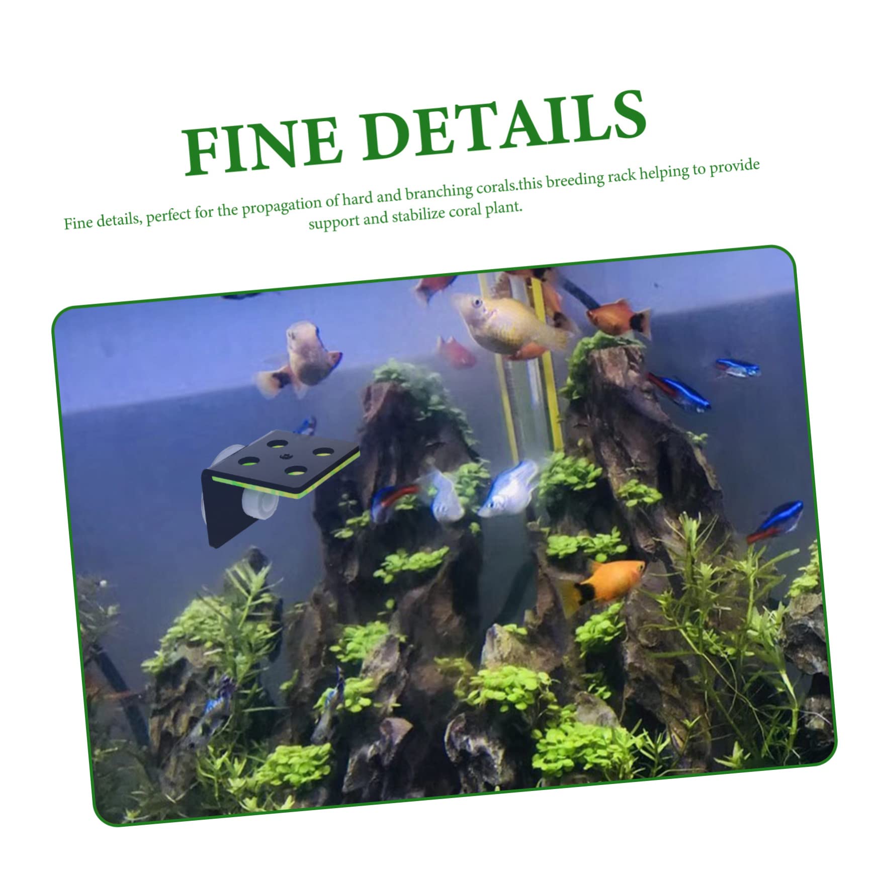 POPETPOP 2st Unterstützung Der Korallenausbreitung Korallen-frag-Rack Keramischer Korallenkleber Frag-festplatten Frag Plug Sandhalter Aquarium Korallenhalter Stecker Acryl Keramikfliesen