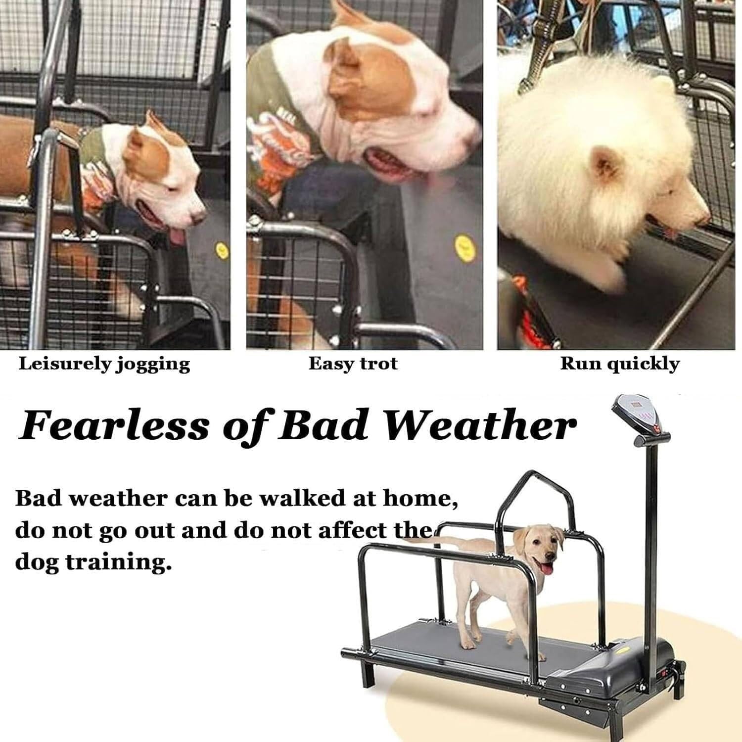 Cinta de Correr para Perros, Equipo de Ejercicio para Patio, casa, Interior, Ejercicio y pérdida de Peso, con Pantalla LCD