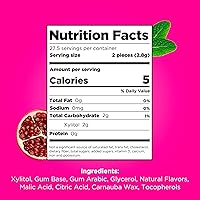 Vista 2 de PUR - Chicle de sabor menta y granada elaborado con 100 % xilitol, sin azúcar, aspartamo ni transgénicos, vegano, 55 chicles (paquete de 3 unidades)