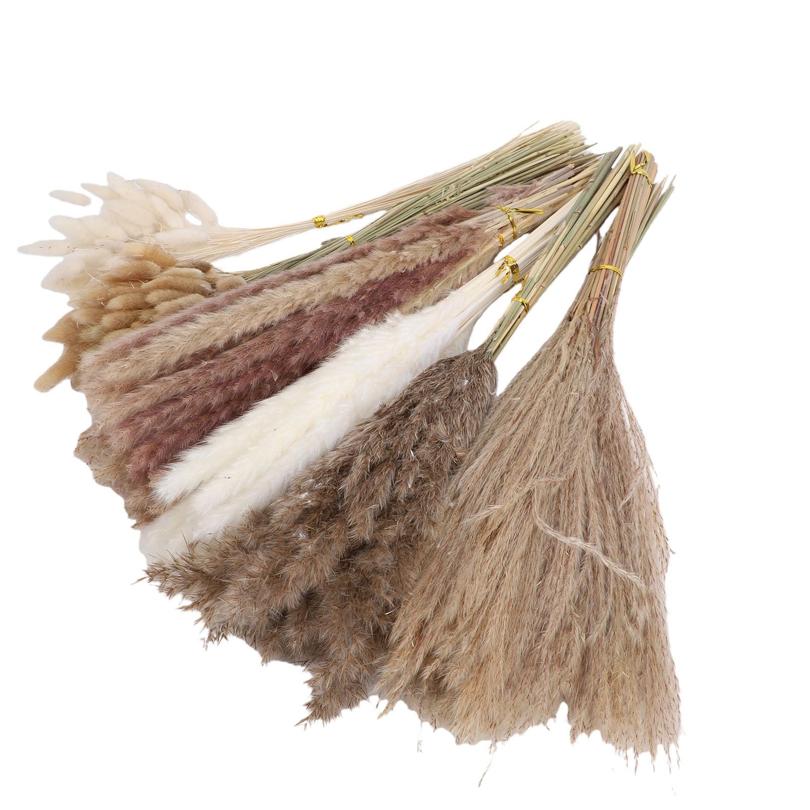 Bouquet di fiori secchi Boho da 330 pezzi, di pampa coda di coniglio piante secche riempitivo per vasi fiori nuziali per matrimoni, decorazioni per feste Boho e decorazioni per la