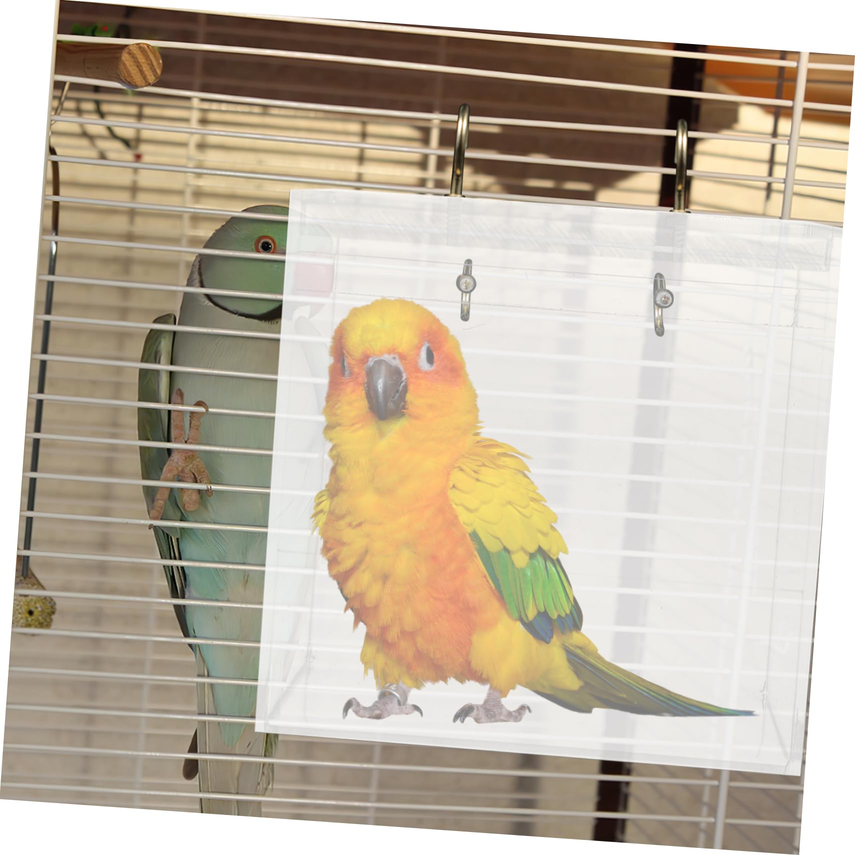 POPETPOP Acryl Vogelbad für Wellensittiche und Papageien, Abnehmbar