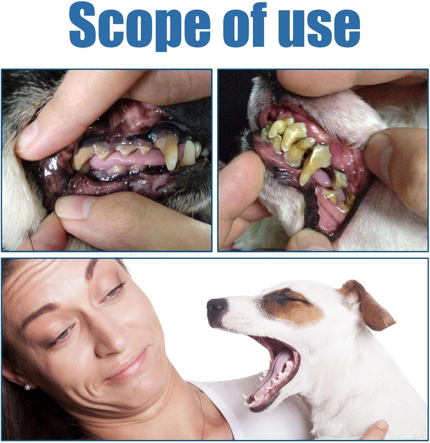 View 6