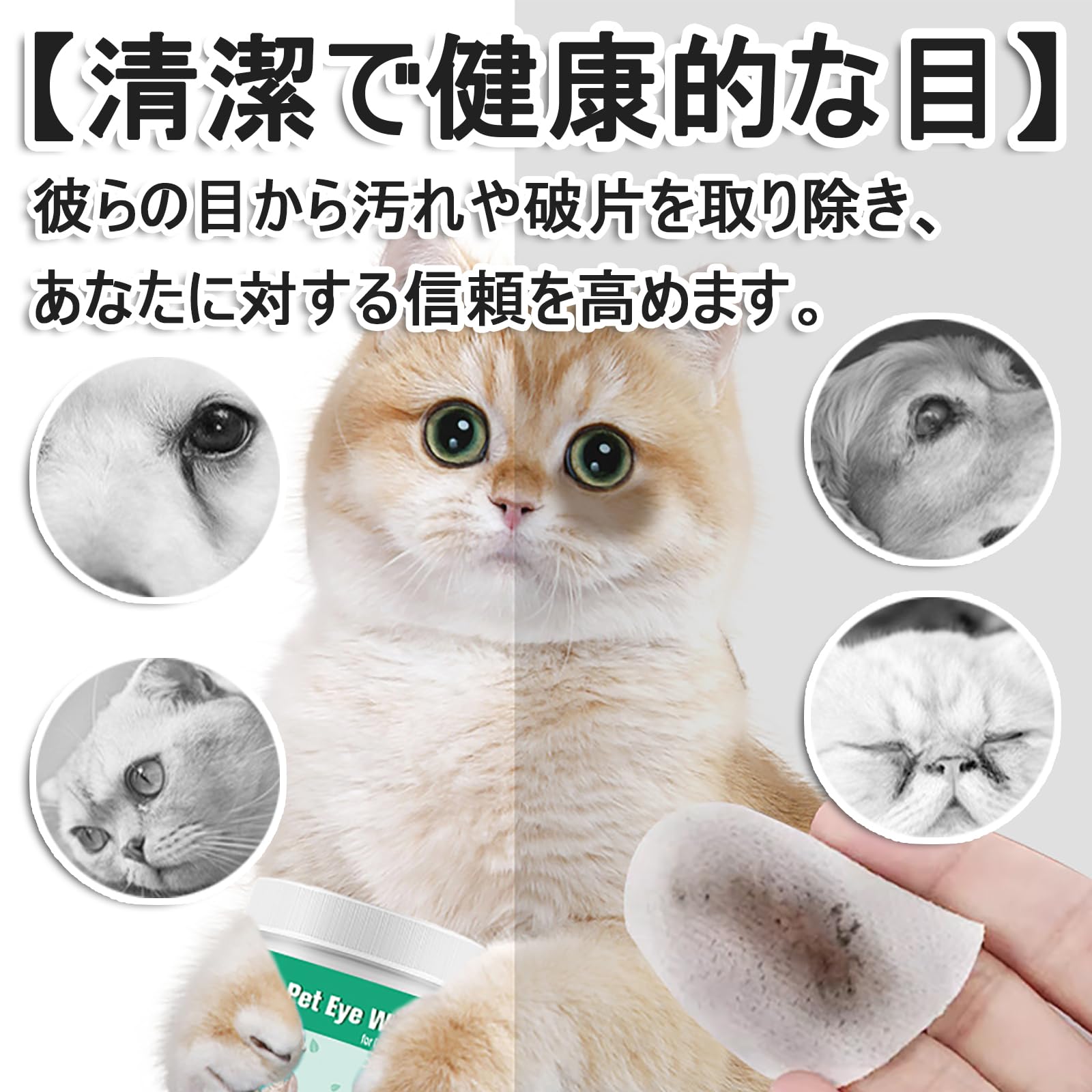 Amazon | 涙やけ 犬 涙焼け 猫 目元 ウェットティッシュ ペット 拭く