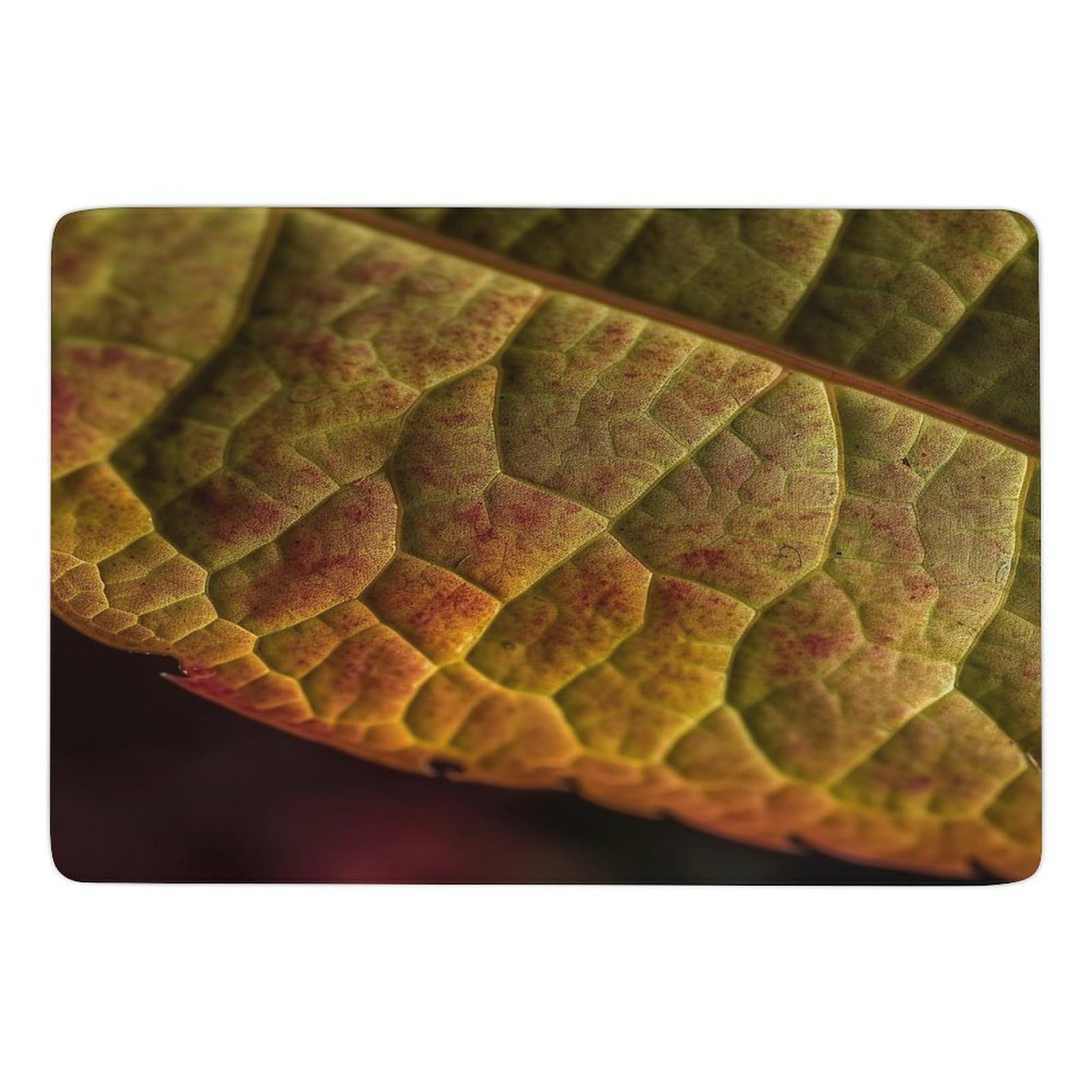 Tapis de salon aux feuilles vertes pour une terrasse ou chambre chaleureuse