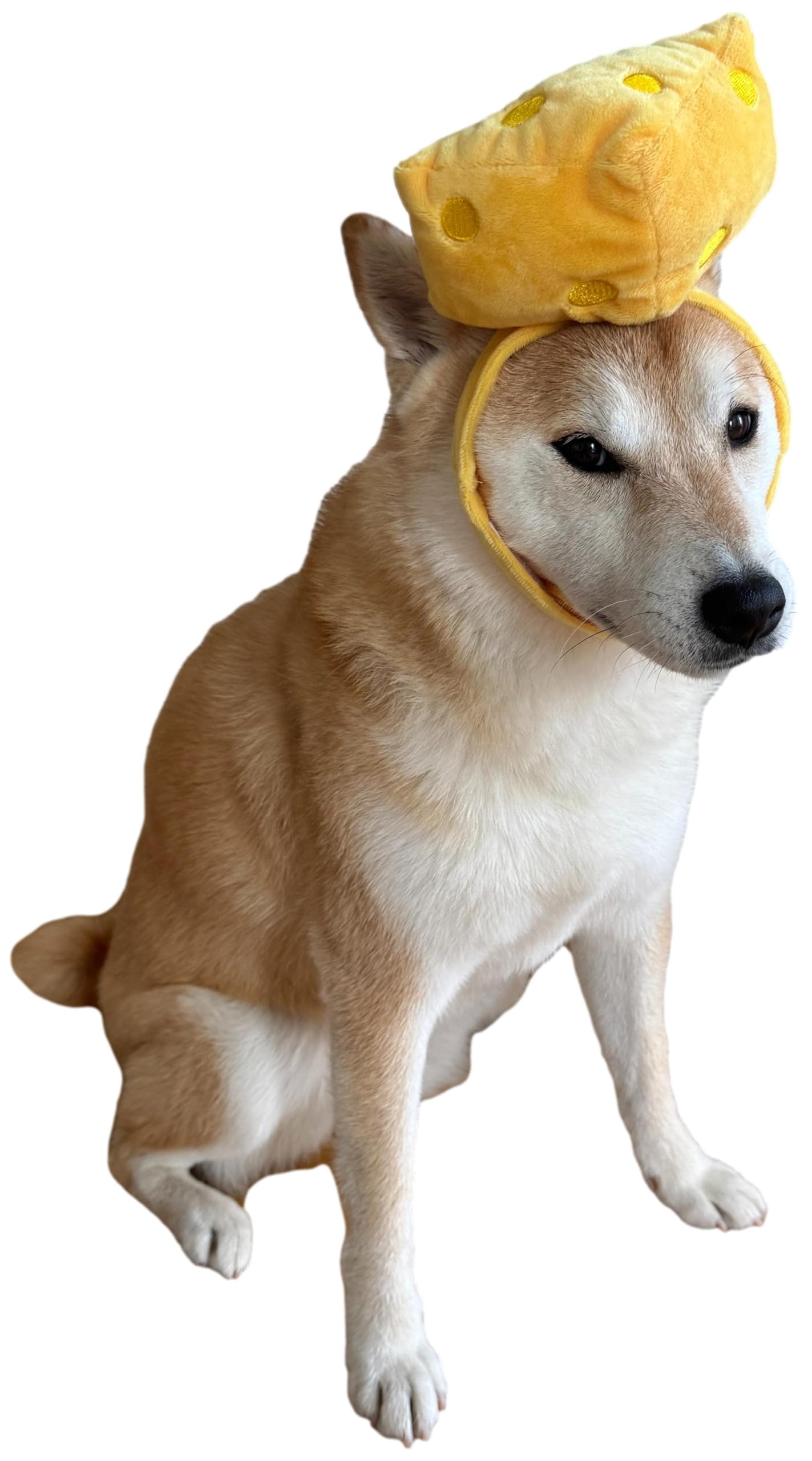 CheetahBoo Disfraz de queso amarillo para perros franceses, talla XS XXL, sombrero de comida, disfraz de Halloween, talla S