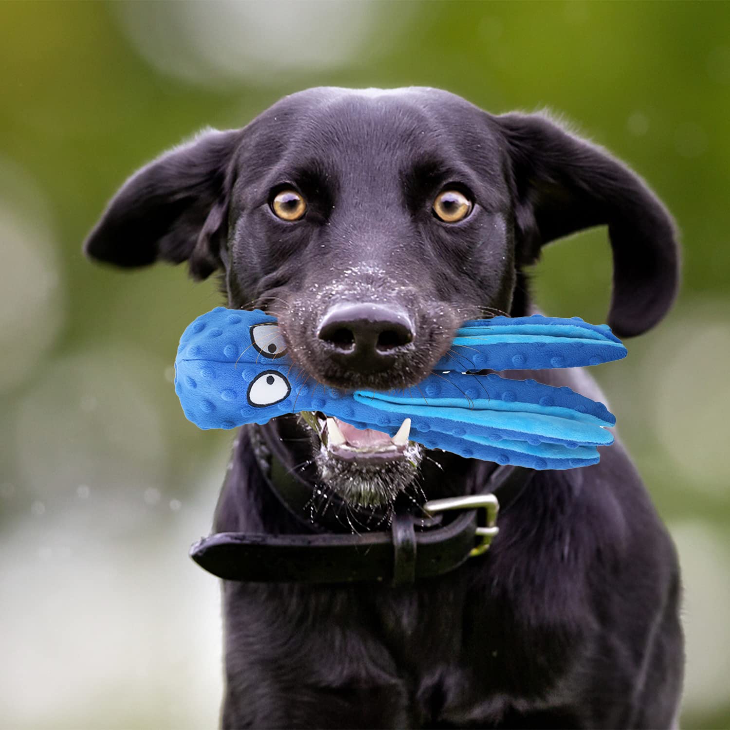 Krake Hundespielzeug Mit Quietscher & Baumwollseil  Robustes  Plsch-Kauspielzeug Fr Groe Hunde