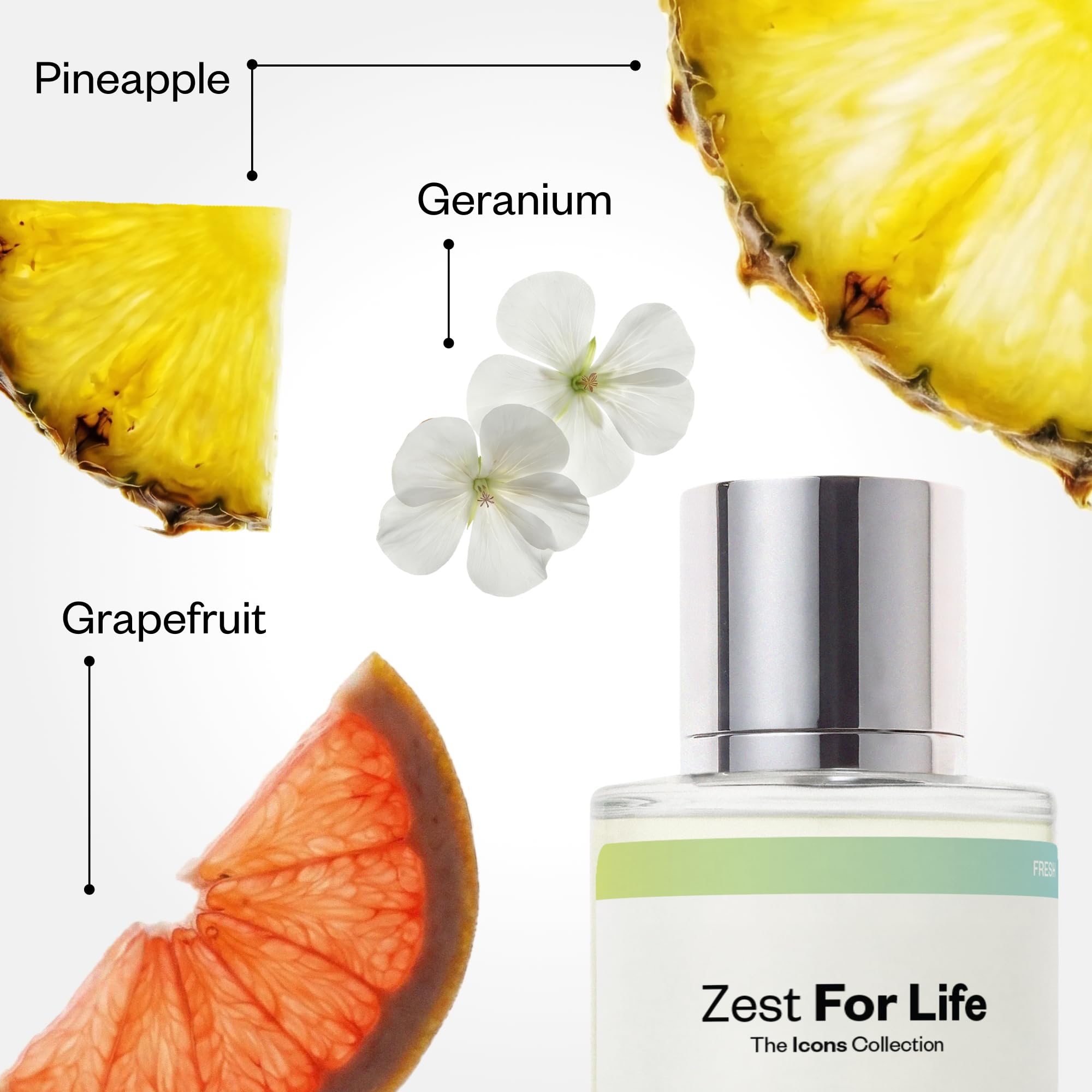 Amazon.com : Dossier - Originals - Zest for Life - Eau de Parfum