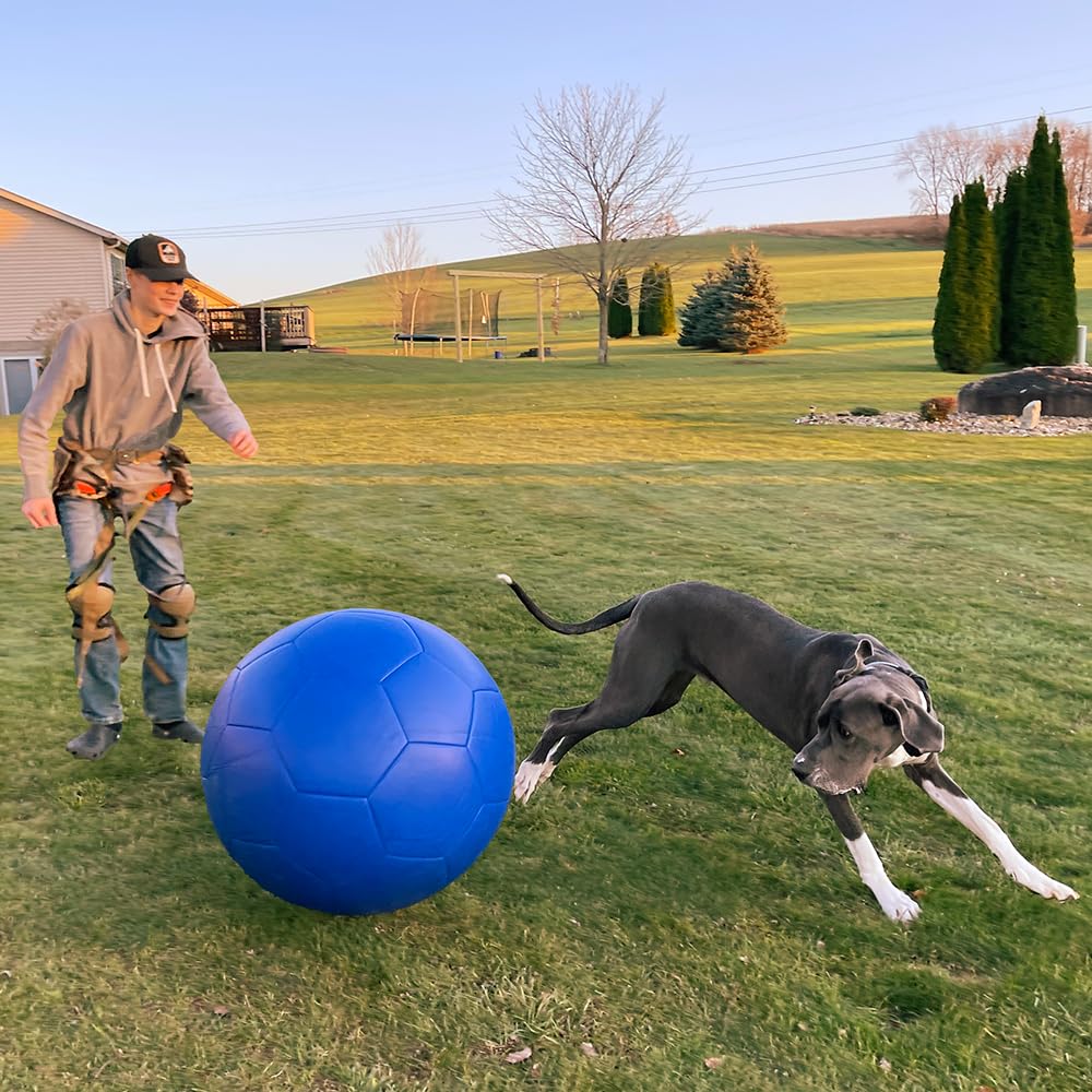 Jolly Ball Herding Ball Petsmart Herding Ball For Dogs (25 Blue