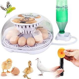 Egg Incubator - 12-24 Eggs Automatic Incubators for Hatching Eggs，with Automatic Turner and Temperature Control Small Poultry Incubator for Hatching Chicken Quail Duck Bird Eggs by Safego