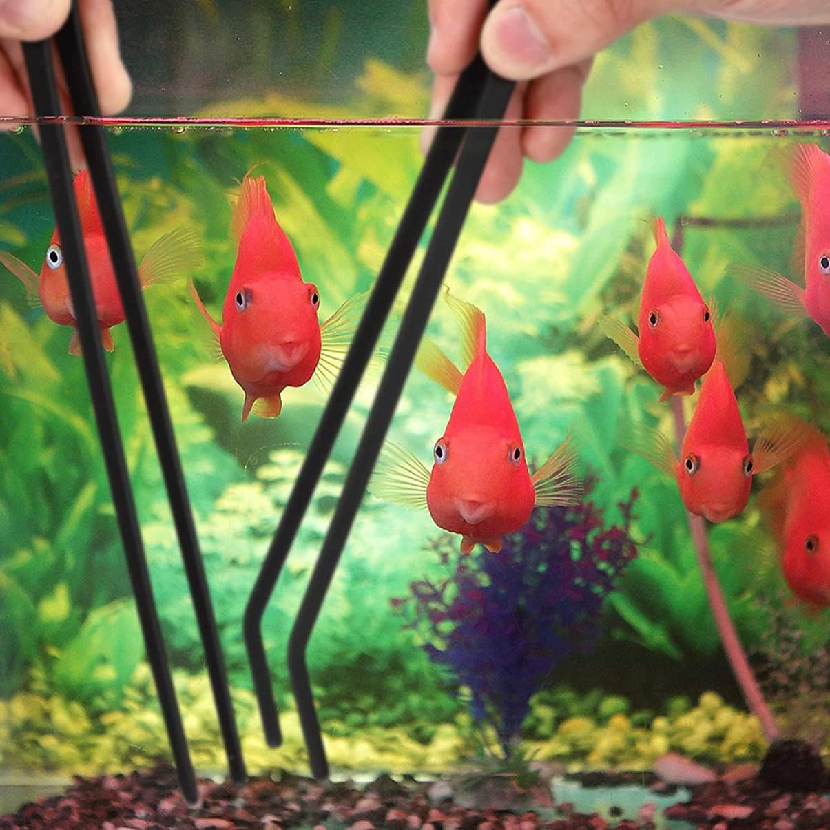 Mipcase 6pcs Aquarium Tweezers Set Aquatic Plant Tongs for Cleaning Fish Tanks Ergonomic Design for Easy Use Straight Crooked Tweezers for Water Plant Maintenance