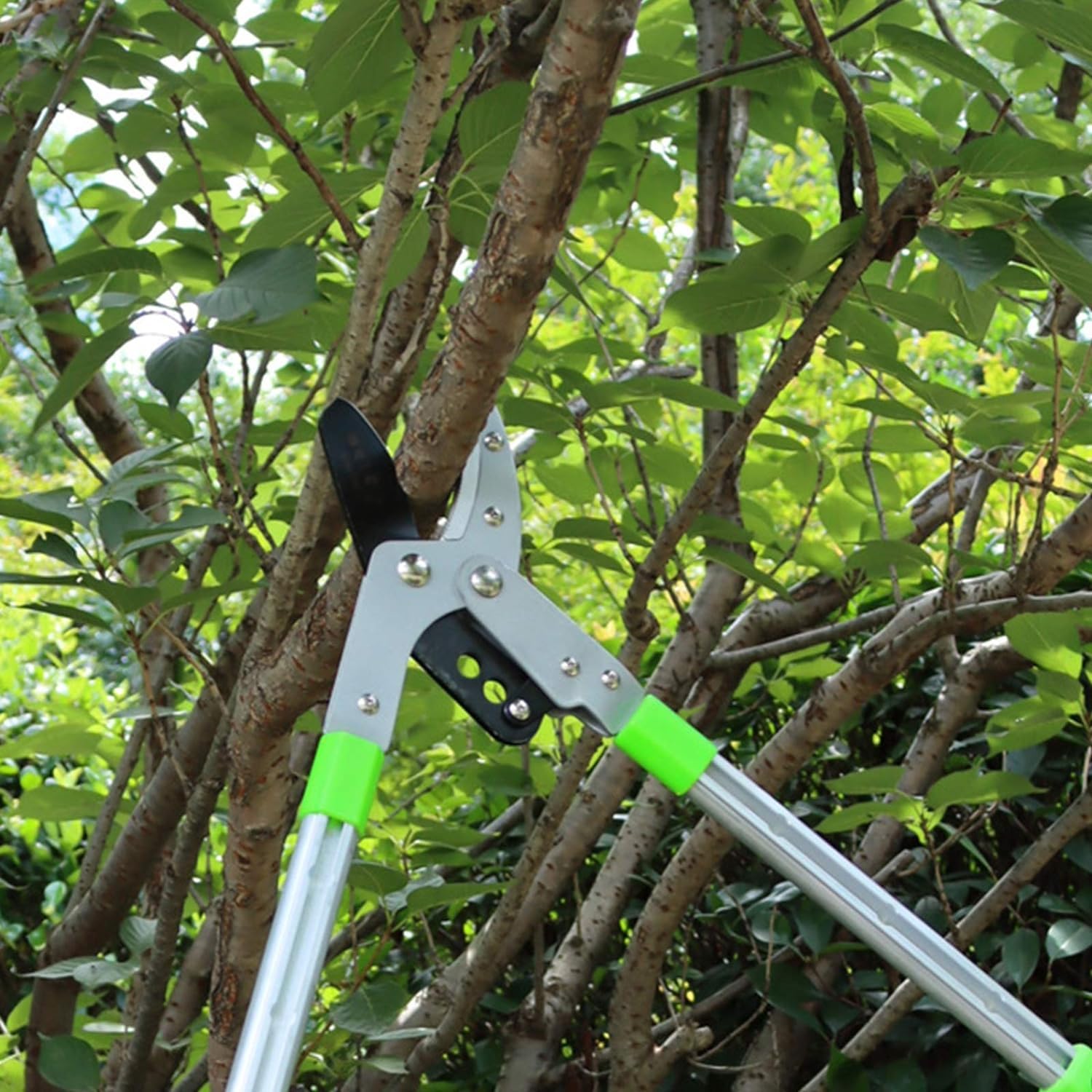 Troncarami con manico Telescopico 67-104cm Cesoia Potatura Rami Tagliarami Professionale con Lama in Acciaio SK5 per Potare Alberi e Rami Spessi da Giardino