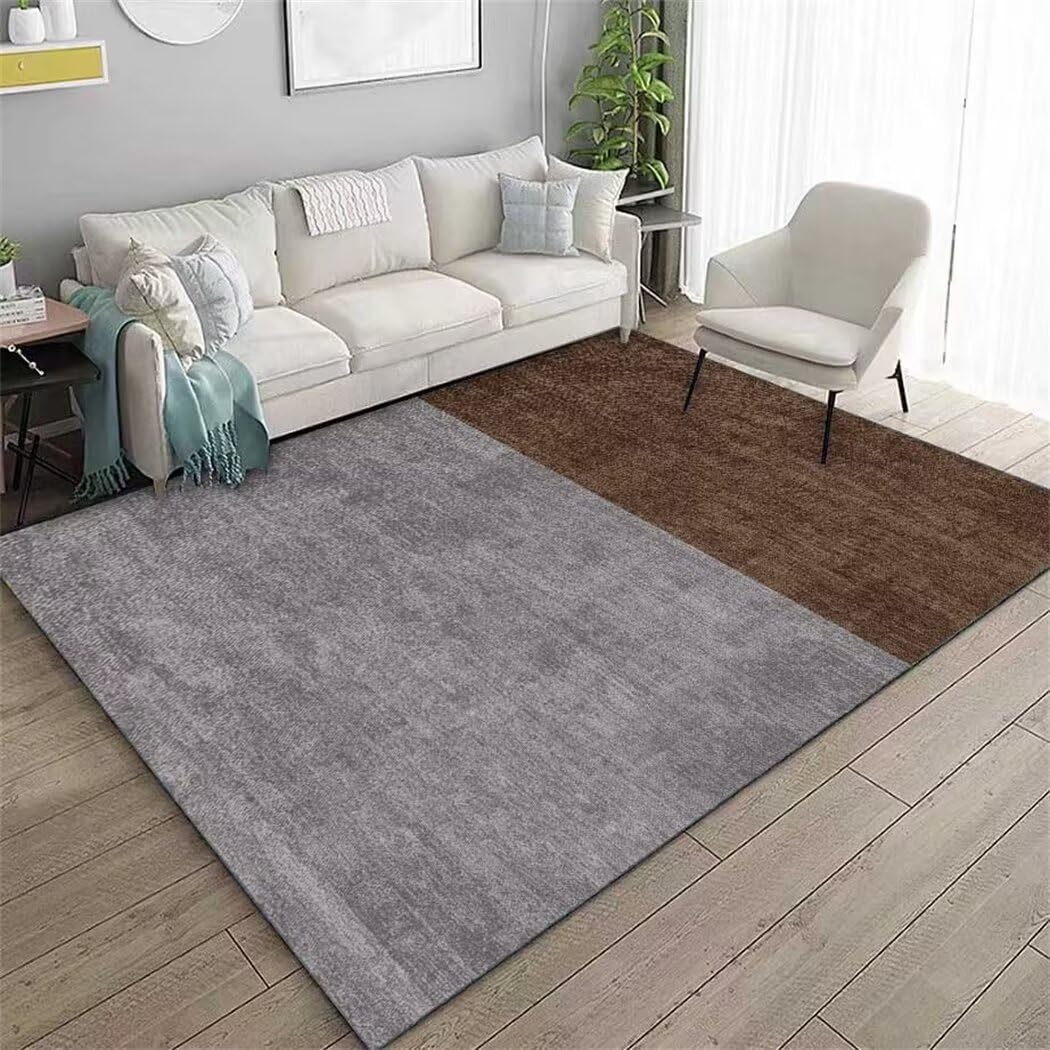 Tapis de chambre minimaliste gris 160x200cm haute finition