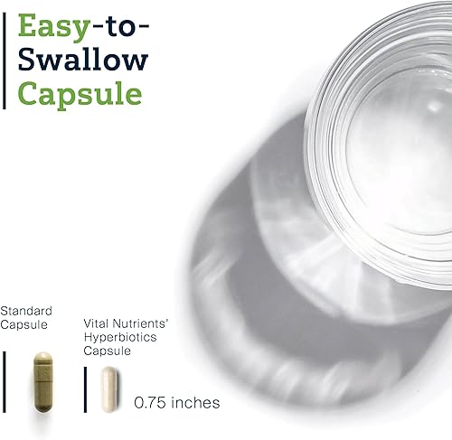 Miniatura 3 de Hyperbiotics Vital Nutrients IBS Probiotic  Reduce los síntomas del SII*  Probiótico vegano clínicamente estudiado para aliviar el SII de hinchazón,