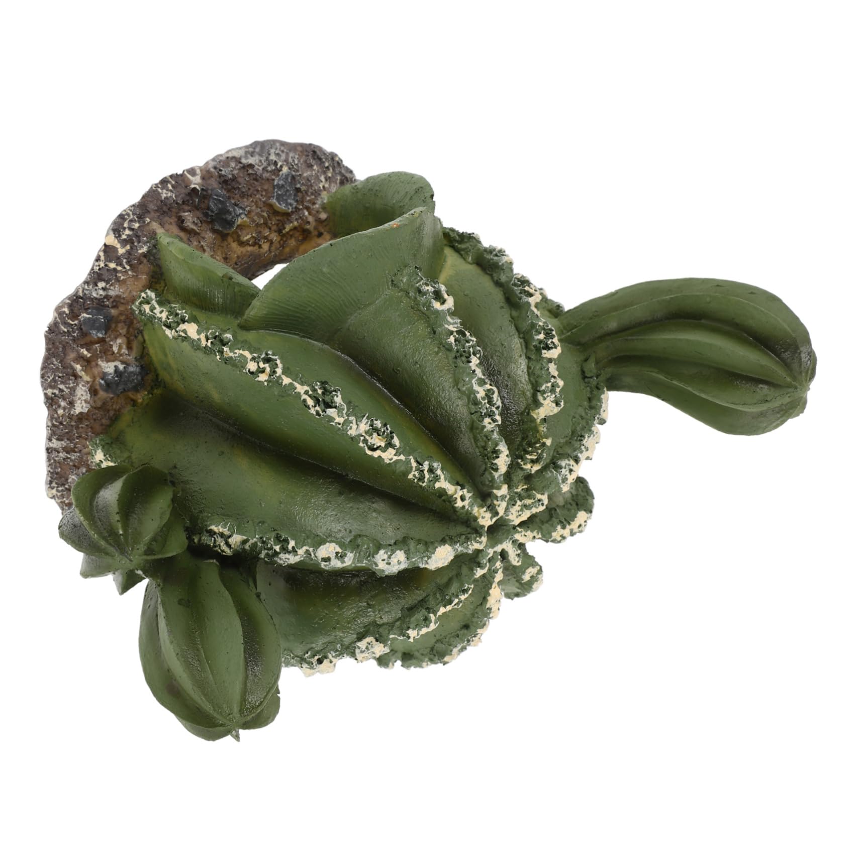 BESPORTBLE 3piezas Cueva para Reptiles Forma De Cactus Refugio Natural para Geckos Serpientes y Anfibios para Terrarios y