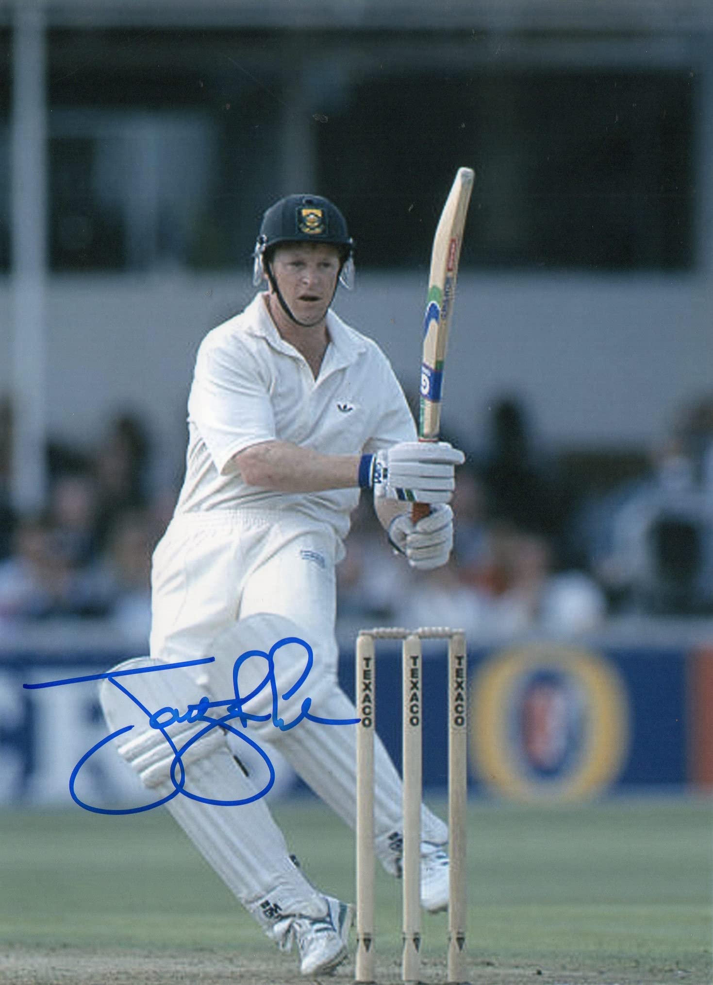 Original Autographed Photo of South African Cricketer Jonty Rhodes-image-42