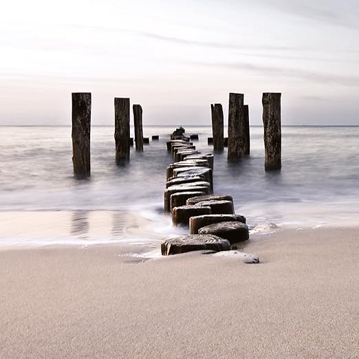 camiseta cavada masculina adidas