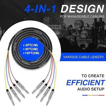 Phenyx Pro True Diversity Wireless Mic System PTAU-2 Bundle with 10Ft TRS Snake Cable PCBL-QR4IN1-10