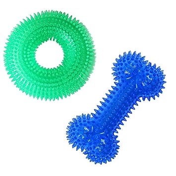 PoochBox Spike Dental Chew Squeaky Spike Ring + Spike Bone Toy for Dogs (Combo of 2)