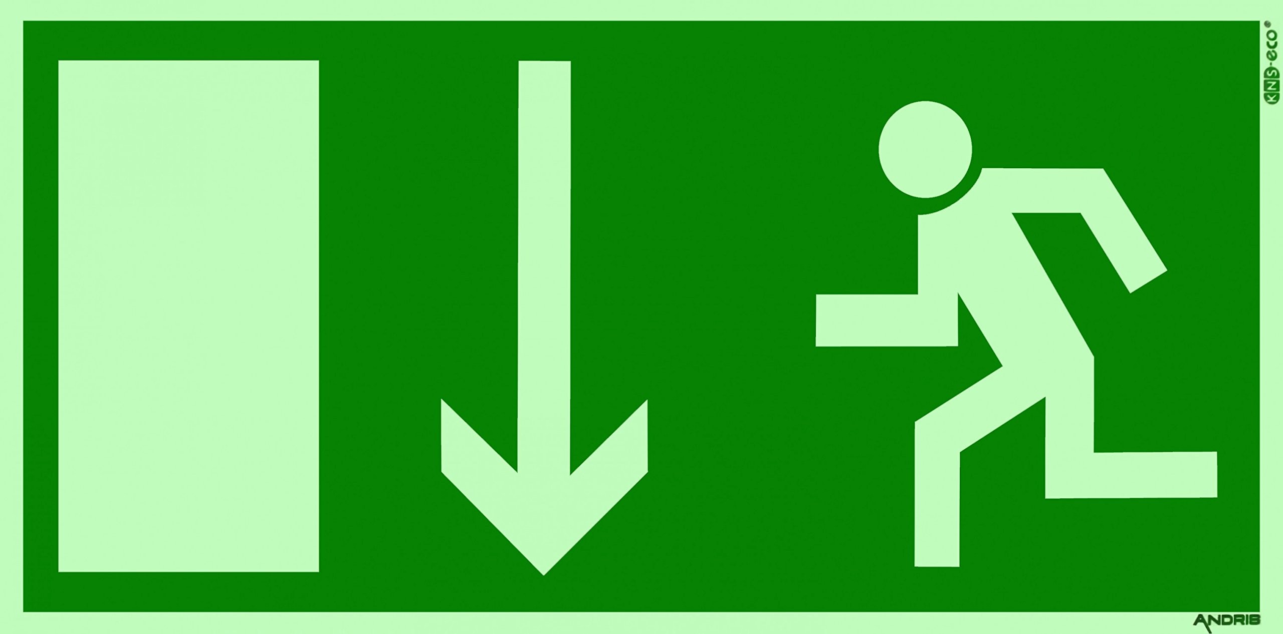 Cartello Uscita Di Emergenza Andris® - Fuga Con Freccia Giù - Dimensioni 300x150 Mm - Fotoluminescente - Norme DIN