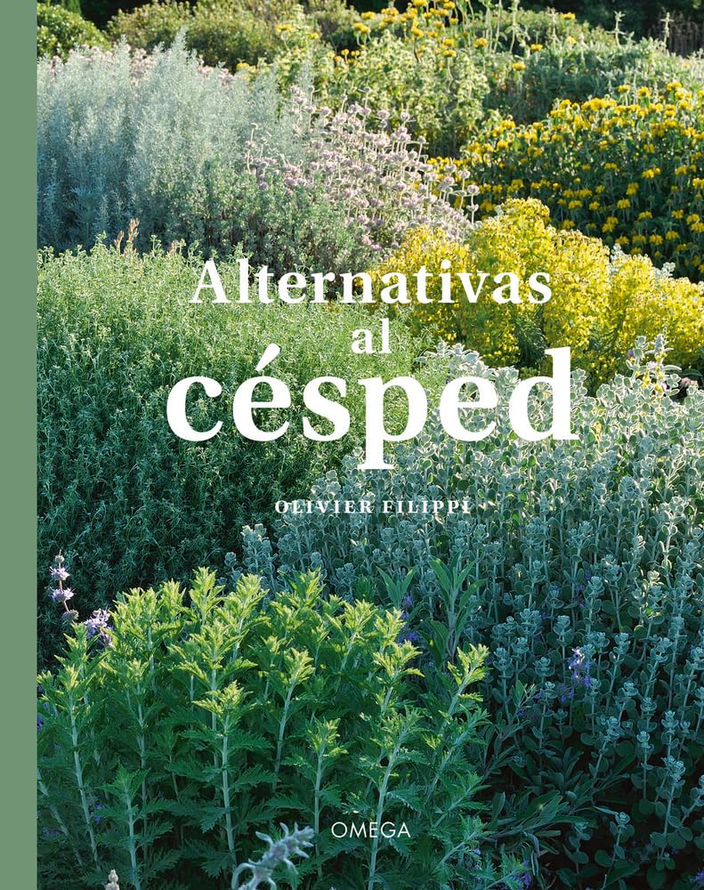 Alternativas al Césped