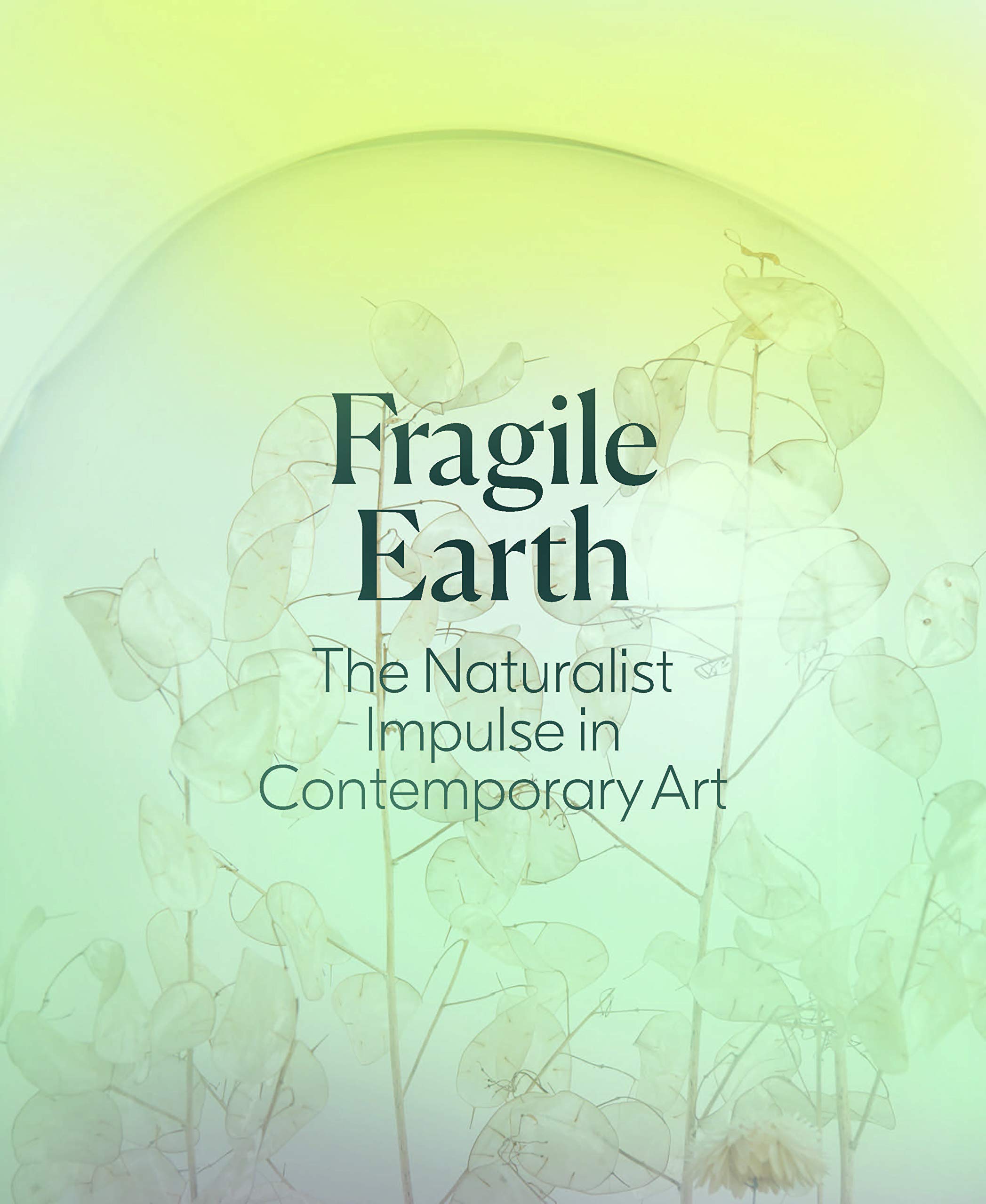 Fragile Earth: The Naturalist Impulse in Contemporary Art