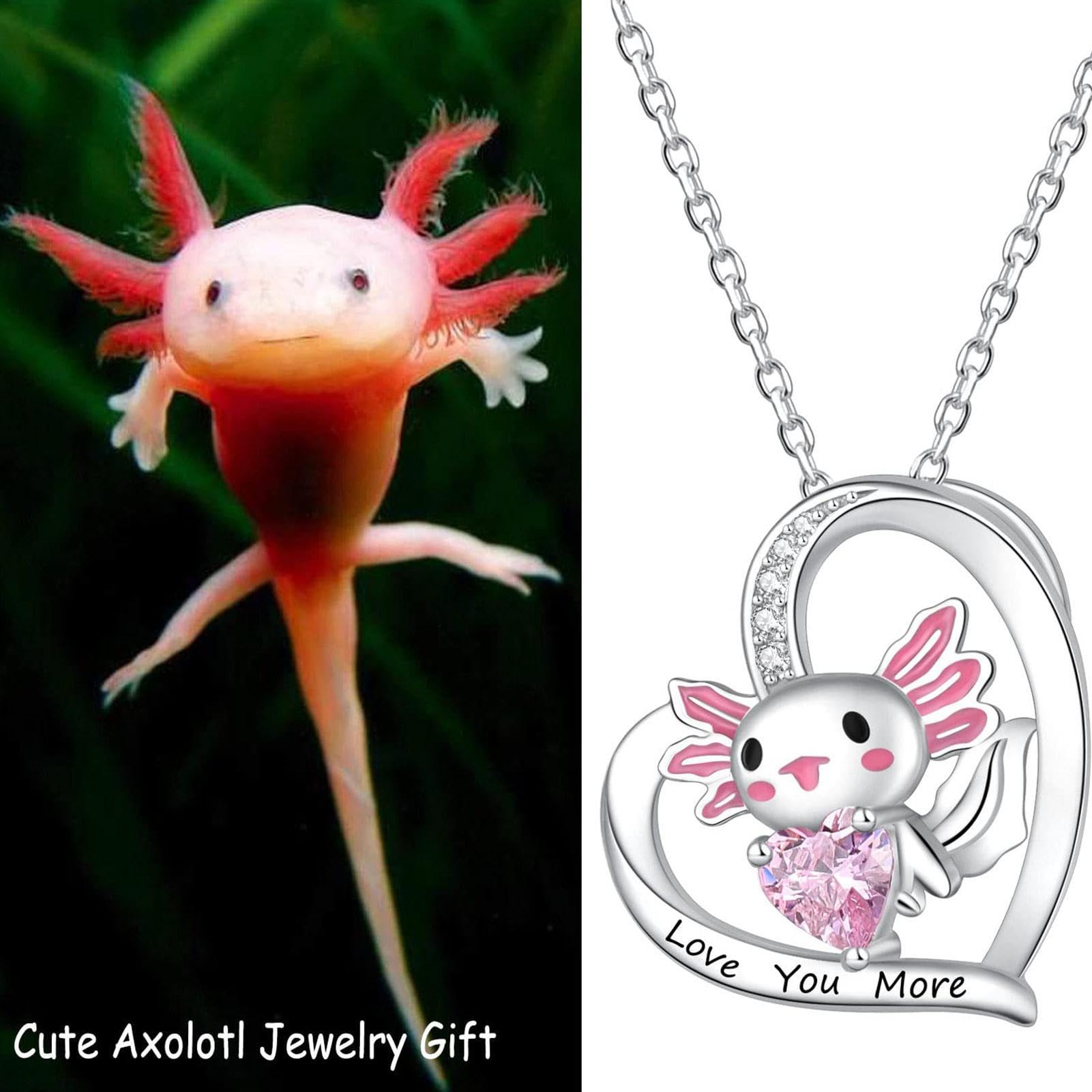 KIANSLA Hanger Axolotl ketting sterling zilver Axolotl hanger leuke dieren sieraden cadeau voor vrouwen meisjes dochter (kleur: Axolotl hart
