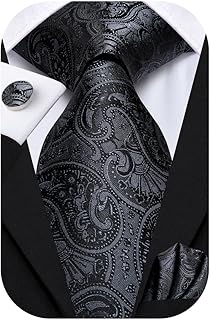 Paisley Ties For Men Picks collage image 1
