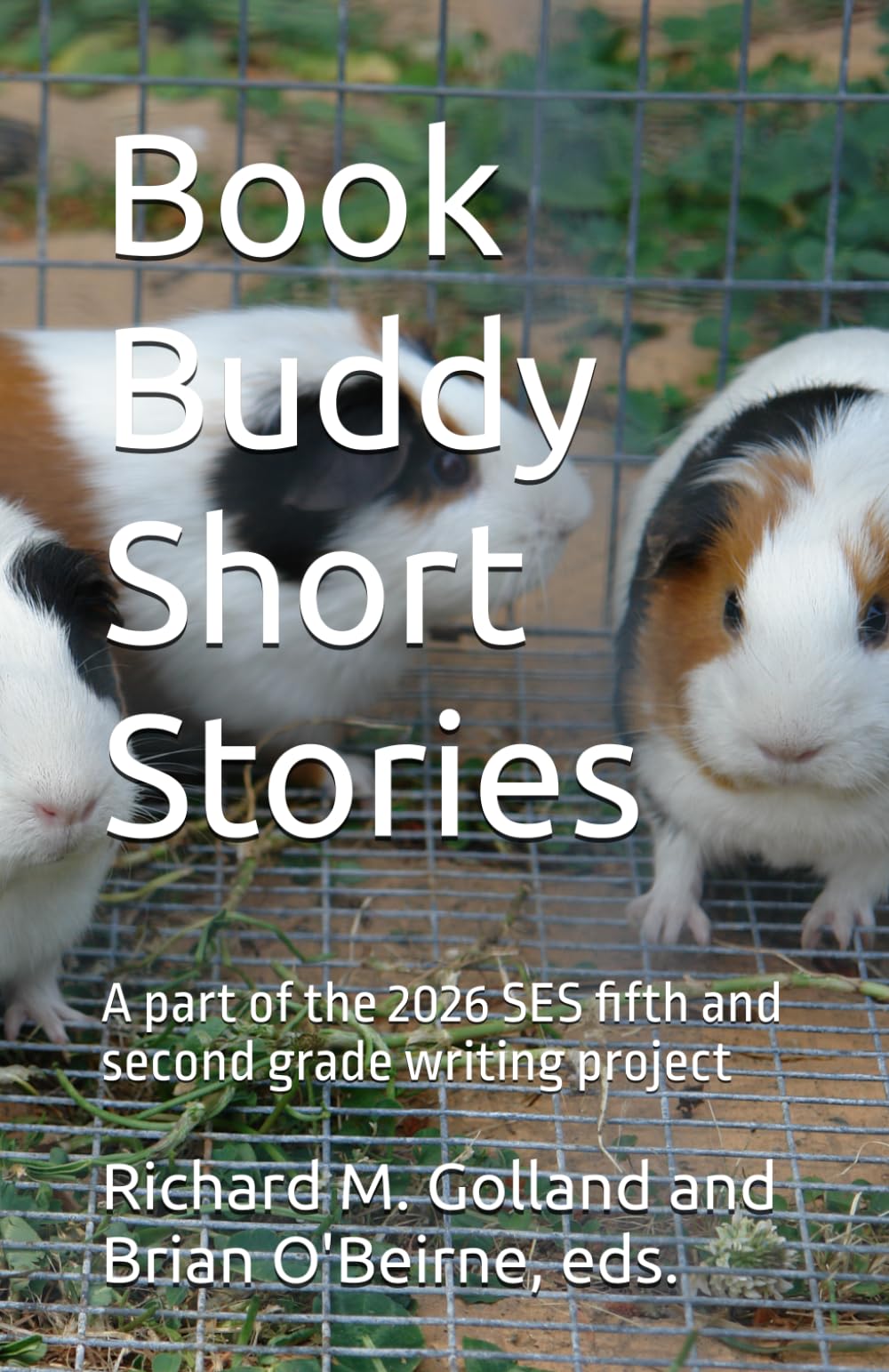Book Buddy Short Stories: A part of the 2026 SES fifth and second grade writing project (SES Fifth Grade Short Stories)