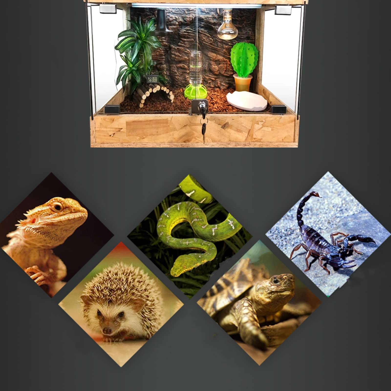 Scatola per alimentazione rettili Allevamento Vivaio Custodia in acrilico trasparente per habitat per insetti, terrario, per serpenti, ragni, lucertole, scorpioni, centopiedi (marrone 120*55*55 cm)