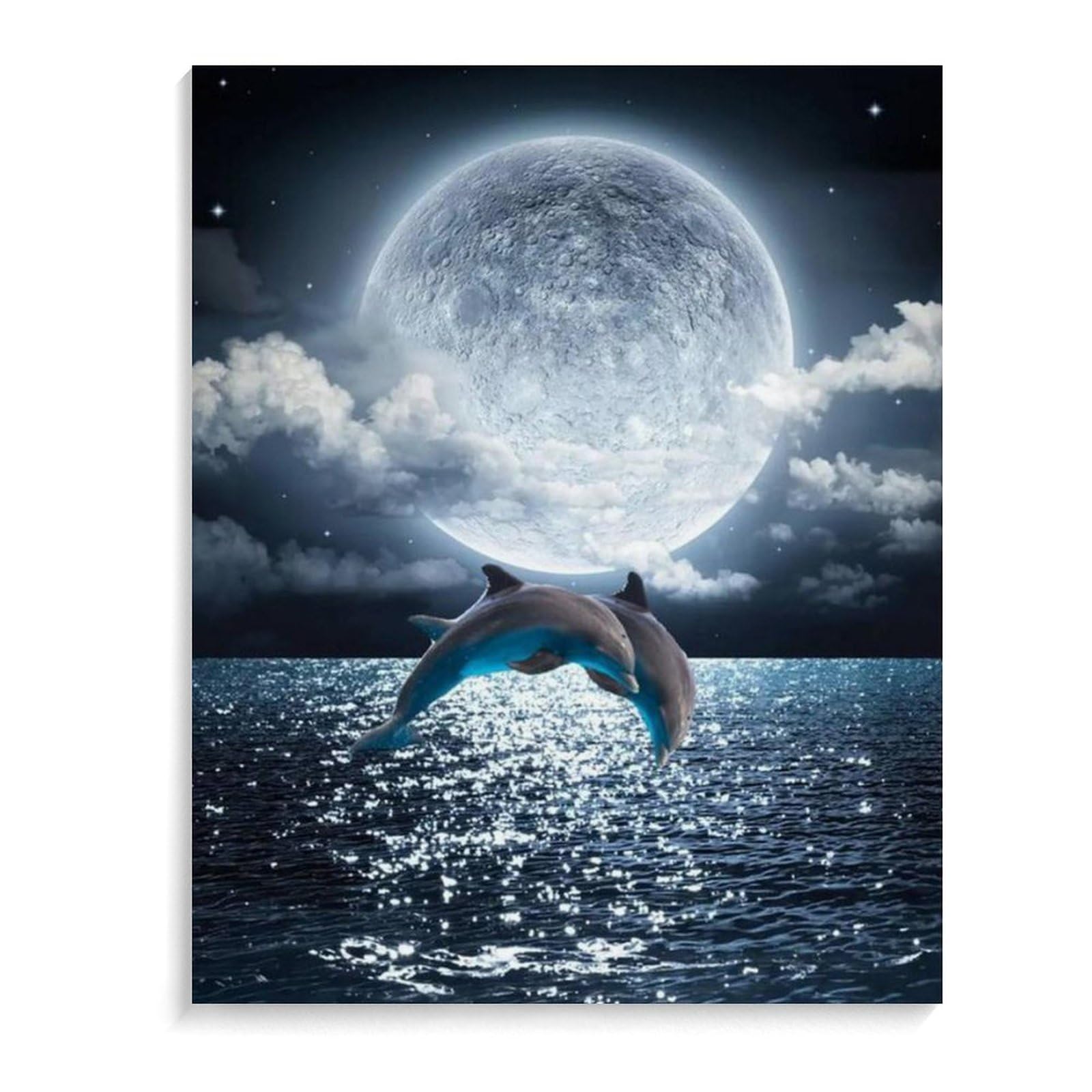Amazon | 月明かりの下で飛び跳ねる2頭のイルカ 数字油絵 ロマンチック