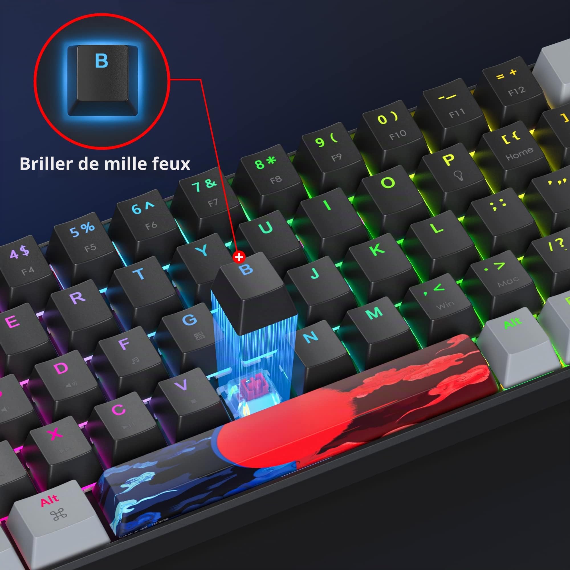 SOLIDEE Clavier de Jeu mécanique 65%,Clavier Filaire Compact rétroéclairé LED RVB 68 Touches avec câble USB Type-C détachable,Clavier de Bureau avec Interrupteur Rouge linéaire pour Win/Mac(68 Dark)