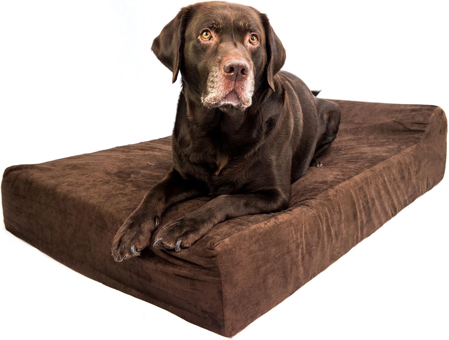 clever paws dog bed