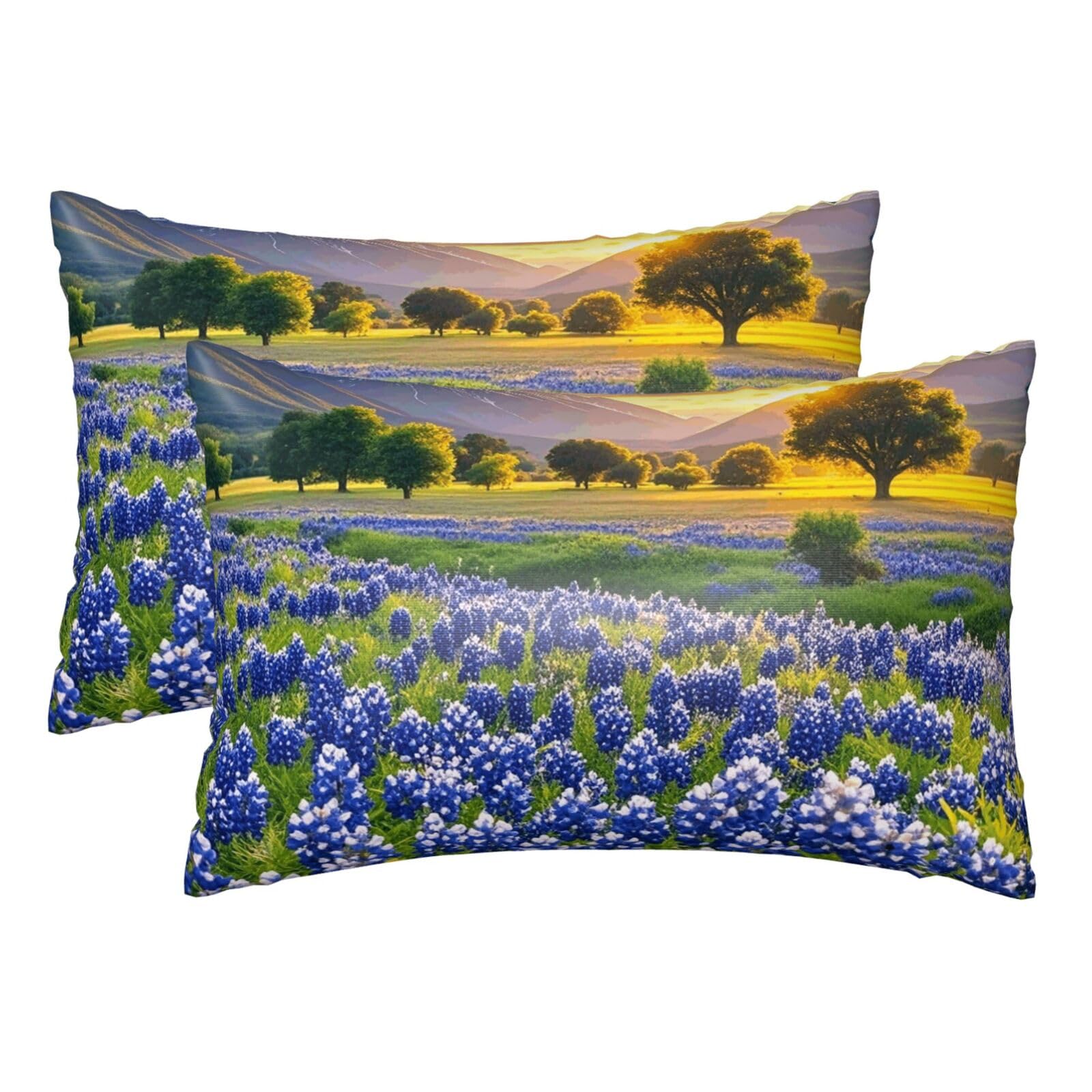 Silk Pillowcases Set of 2 Pillow Shams Breathable Soft Pillow Covers with Envelope Closure Texas Bluebonnets Scenery Pillowcases Standard Size 20x30 Inches Washed Pillow Cases for Hair and Skin