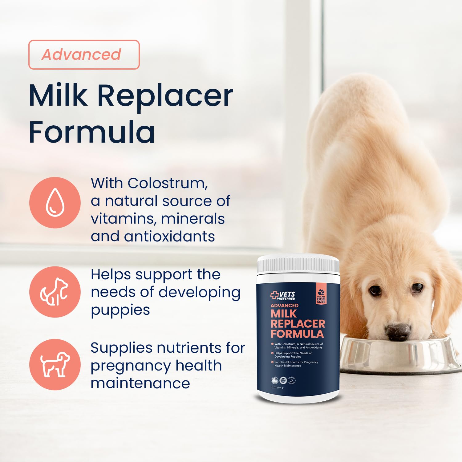 Vets Preferred Puppy Milk Replacement Formula - Dog Milk Replacer Powder Supplement for Pregnant, Lactating, Aging Dogs - Enriched with Colostrum - Nutritious Nursing Formula for Puppies - 12 Oz