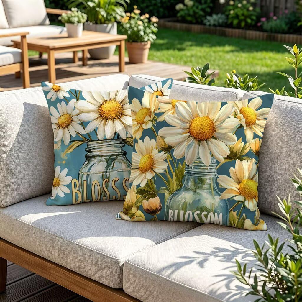 Cuscini per Divano Fiori Set da 2 Velluto Copricuscini 70x70 u-401 | Cuscini Divano Esterno, Cuscino Letto Copricuscino Bottiglia Federa Cuscino, Room Decor, Decorazioni Giardino per Esterno