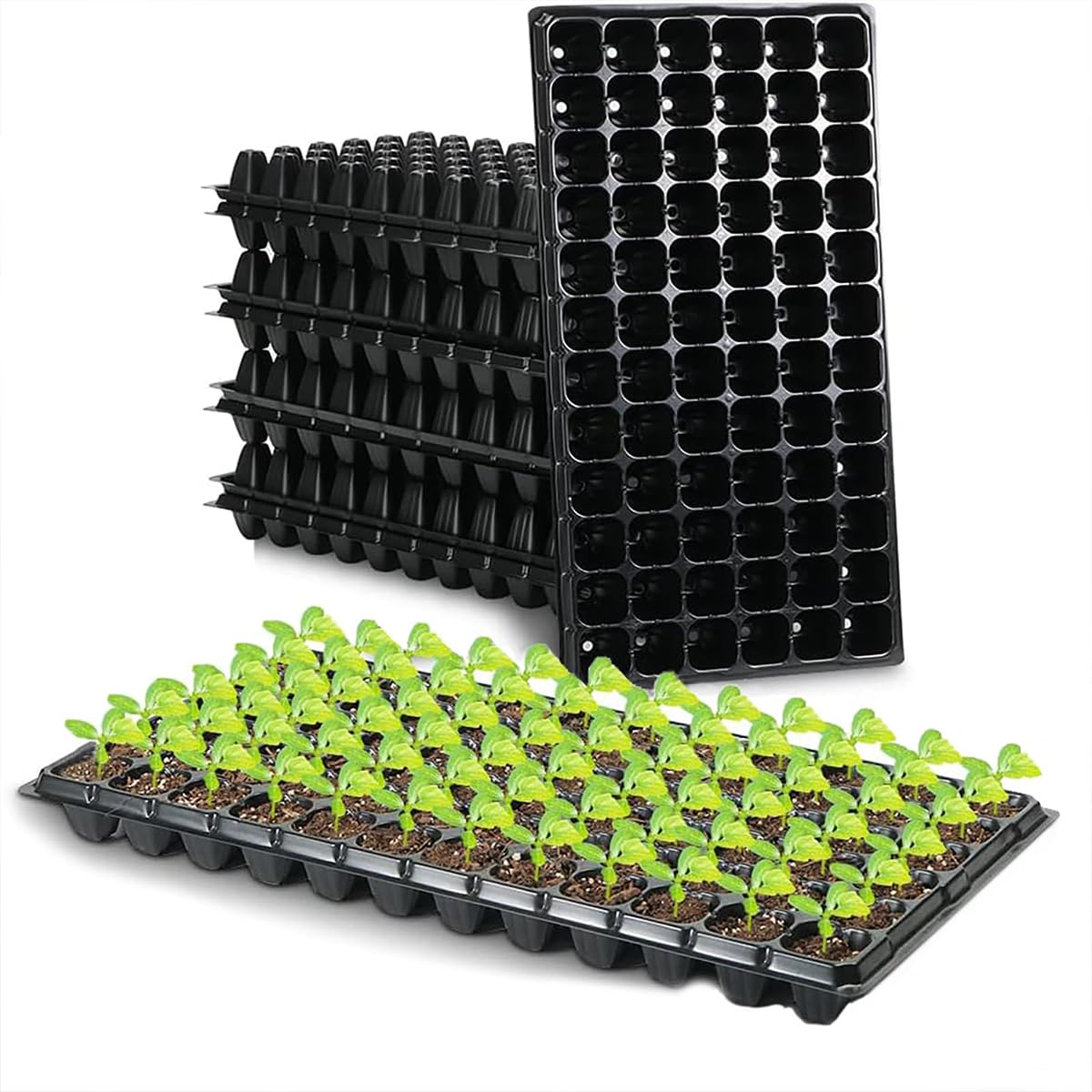 Amazon | 育苗ポット 72穴 育苗トレイ 5個セット/10個セット