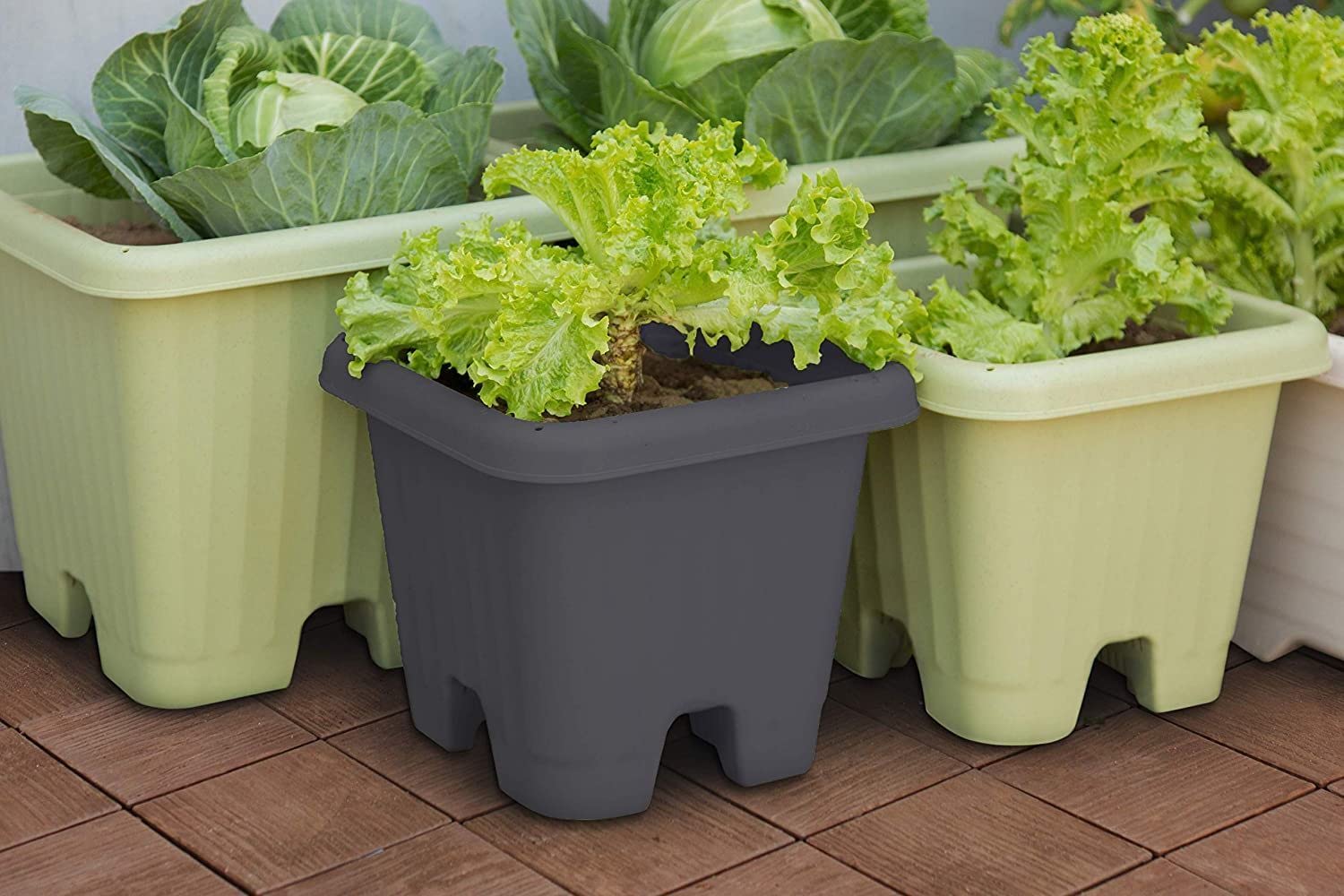 Iris Ohyama, Vaso per piante, fioriera d'aria con sistema di drenaggio dell'acqua per il giardinaggio - Air Vegetable Planter530, Marrone
