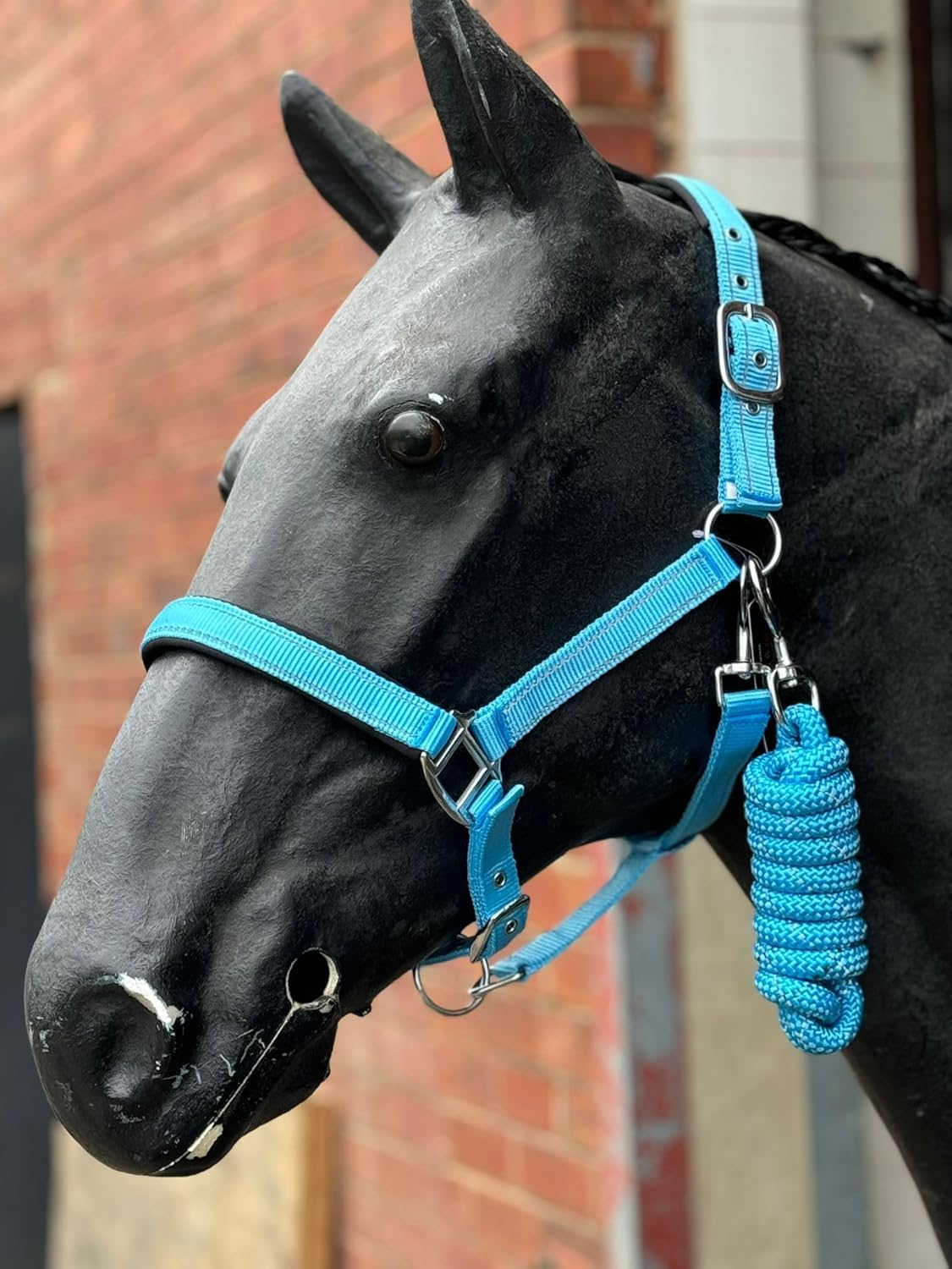 Equipride Reflective Headcollar and Lead Rope Set Neoprene Padded Full-Shetland Baby Blue (Mini Shetland)