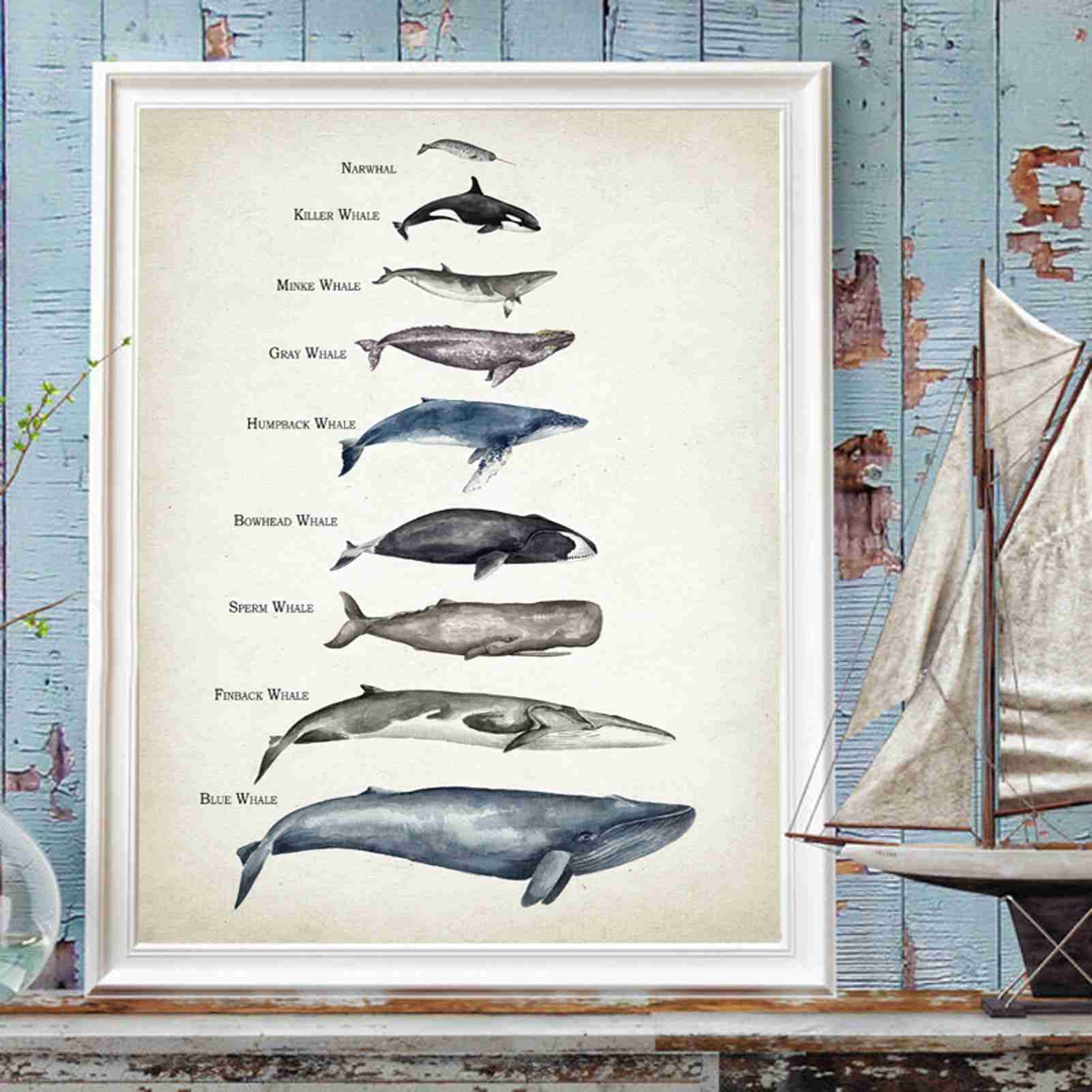Poster éducatif Baleines Sur Toile - Aquarelle Enfant - Décoration Chambre Bébé - Sans Cadre - Taille Personnalisable