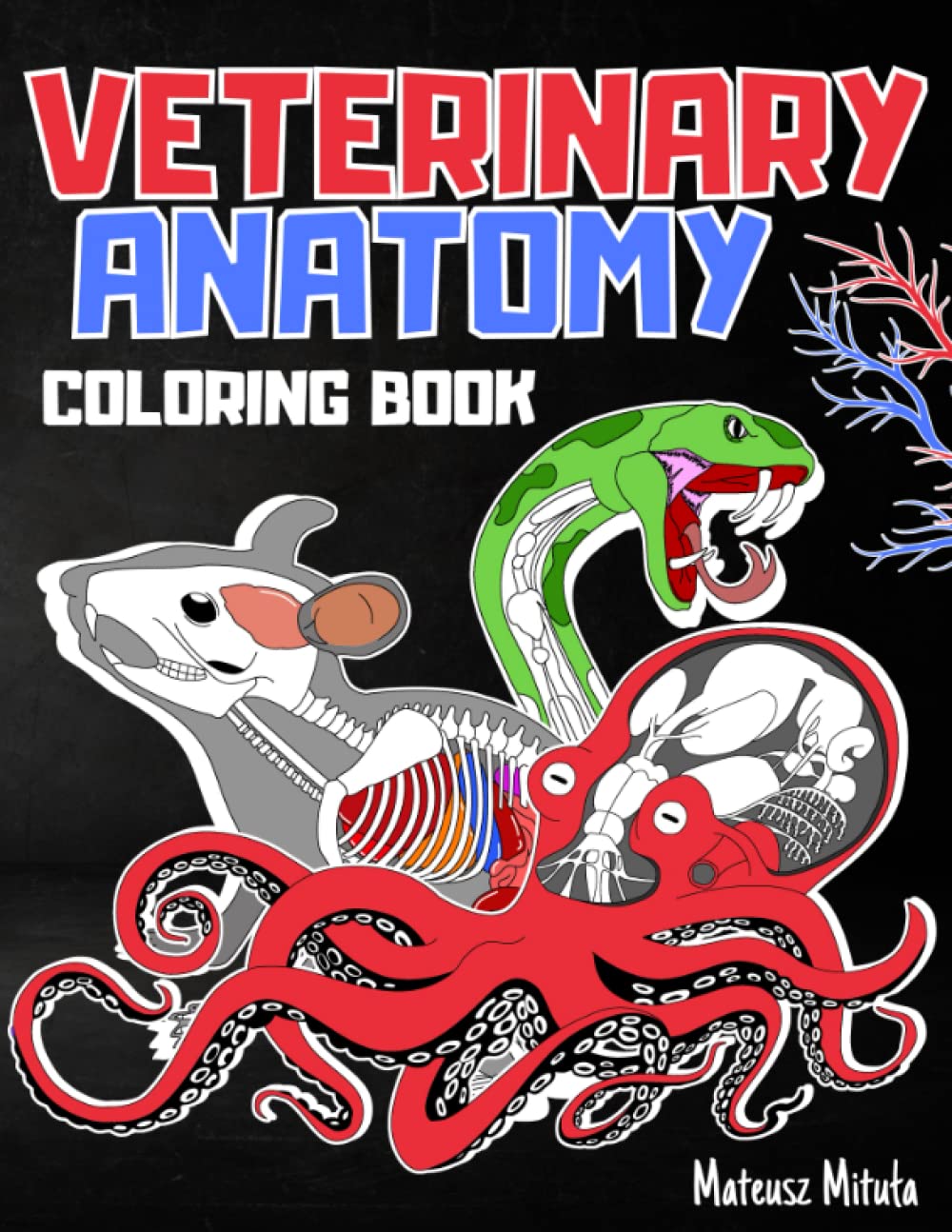 Veterinary Anatomy Coloring Book Animal Anatomy and