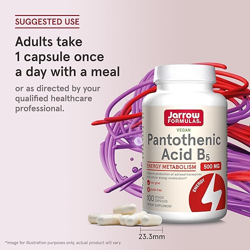 Miniatura 7 de Jarrow Formulas Ácido pantoténico B5 500 mg  100 cápsulas vegetales  Vitamina B esencial  Producción de energía y apoyo al metabolismo  100