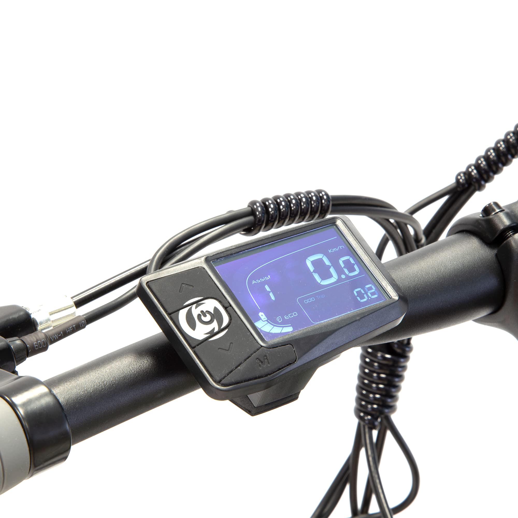 Argento Performance Mountain e-bike, Bici Elettrica, Batteria 468W, Motore 250W, Cambio Shimano 7 rapporti, Freni a Disco, Ruote 29"