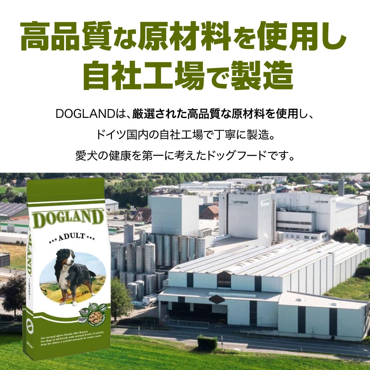 Amazon.co.jp: DOGLAND ドッグランド アダルト 中型 大型成犬 向け