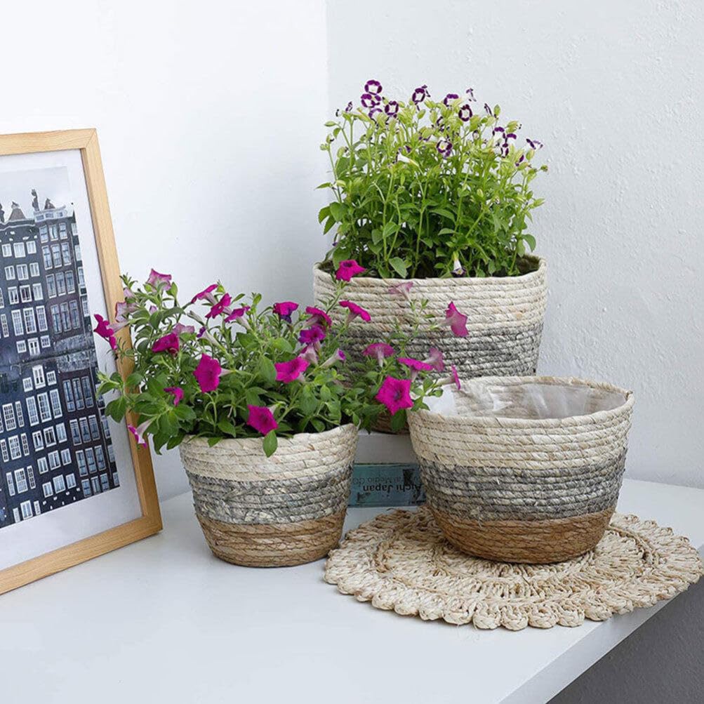 Paniers Tressés en Paille 2 Pièces, Cache-pot Décoratif pour Fleurs