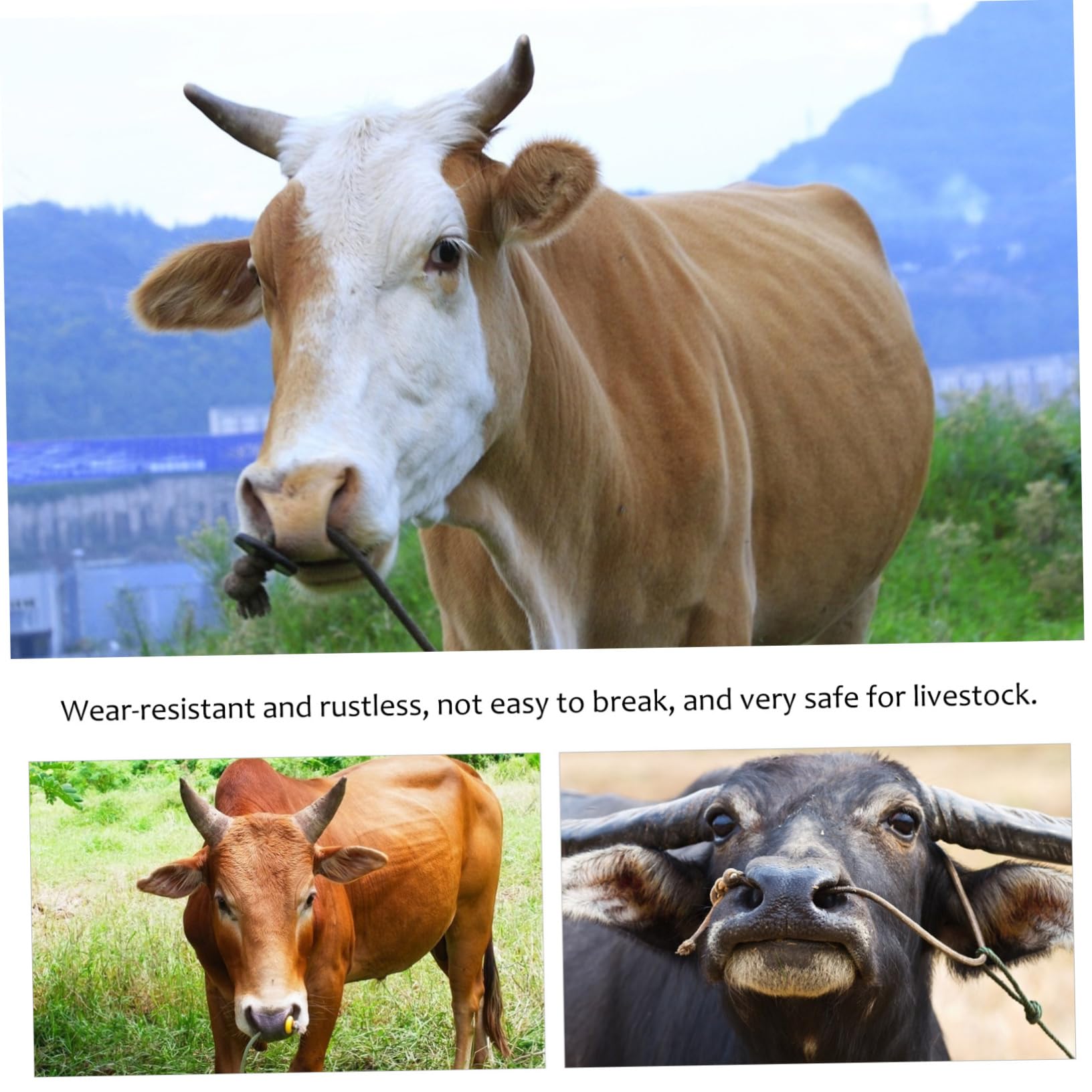 Veemoon 1pezzi Pinze per Anelli Nasali per Bovini Pinza per Anelli Nasali per Bestiame Strumento per Forare Naso del Bestiame Superficie Liscia Facile da Usare Resistente all Usura
