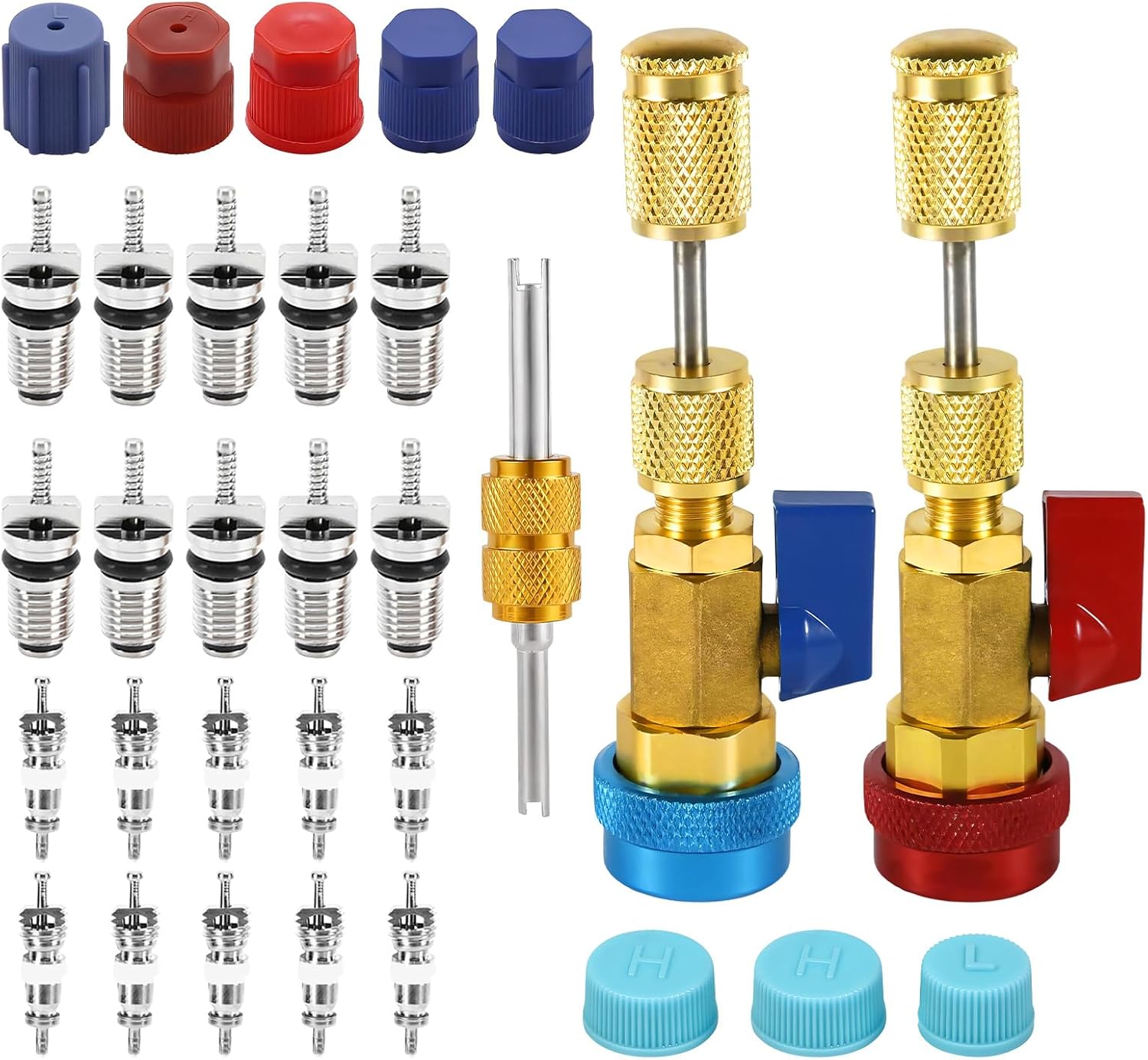 31PCS R134A Valve Core Quick Remover Installer Tool Set, AC High Low Pressure Valve Core Remover Kit with Valves Cores & Caps, Fits R12 R134A Refrigerant Air Conditioner System